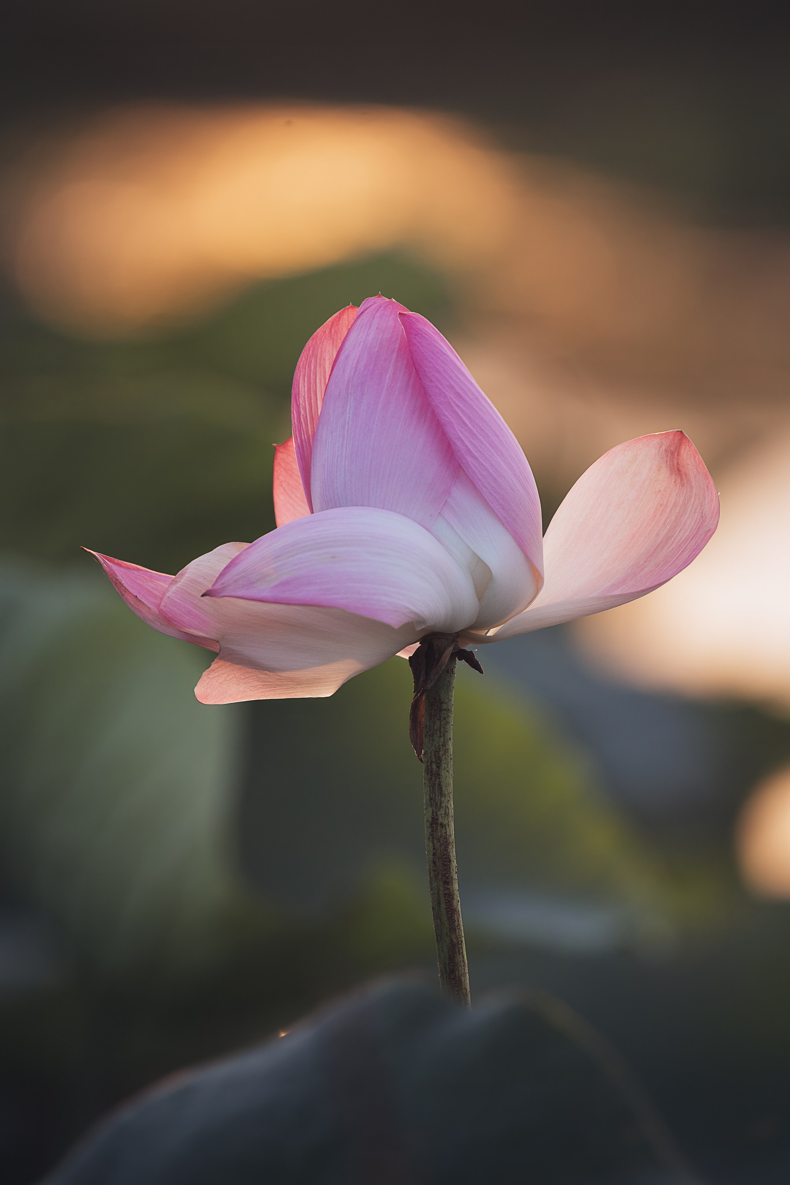 Астраханская область 2025 | Фотограф Дмитрий Купрацевич. Дмитрий Купрацевич профессиональный пейзажный и travel-фотограф