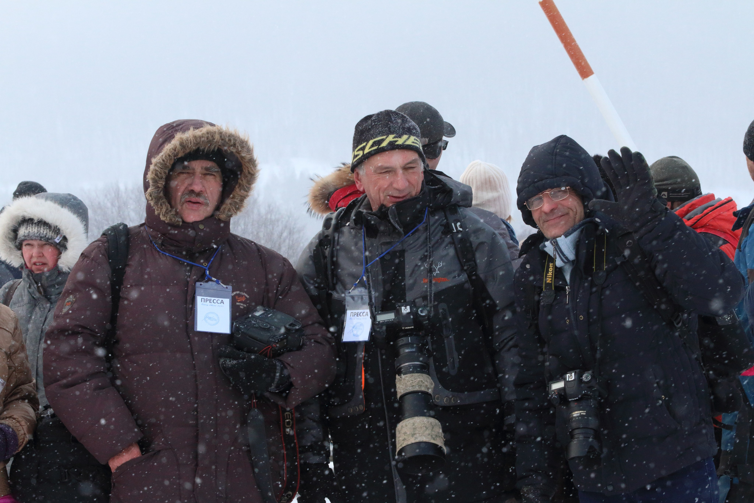 08.02.2020 Ширяево. Гонка на собаках