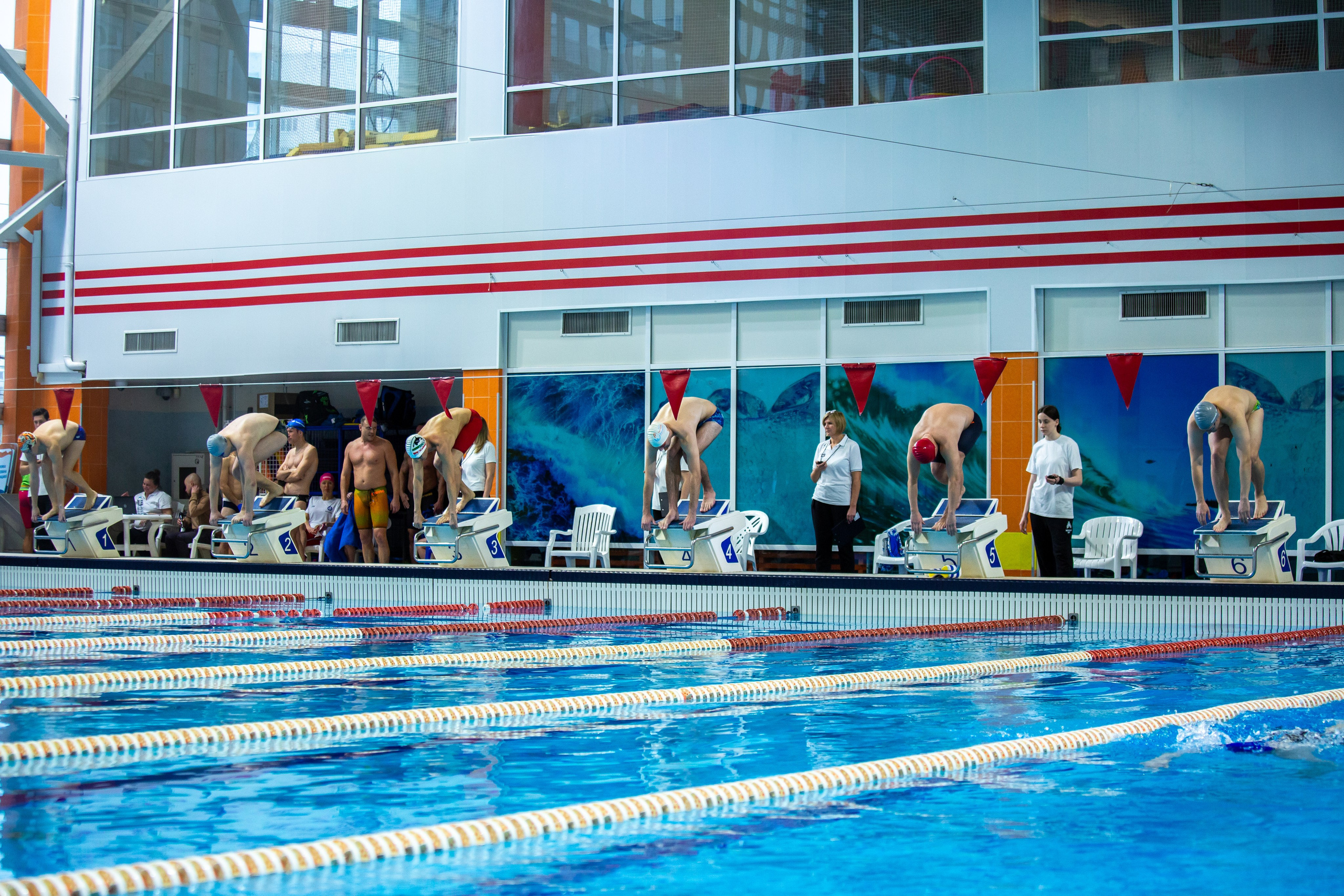 Турнир по плаванию. Репортажный, семейный, свадебный, портретный фотограф