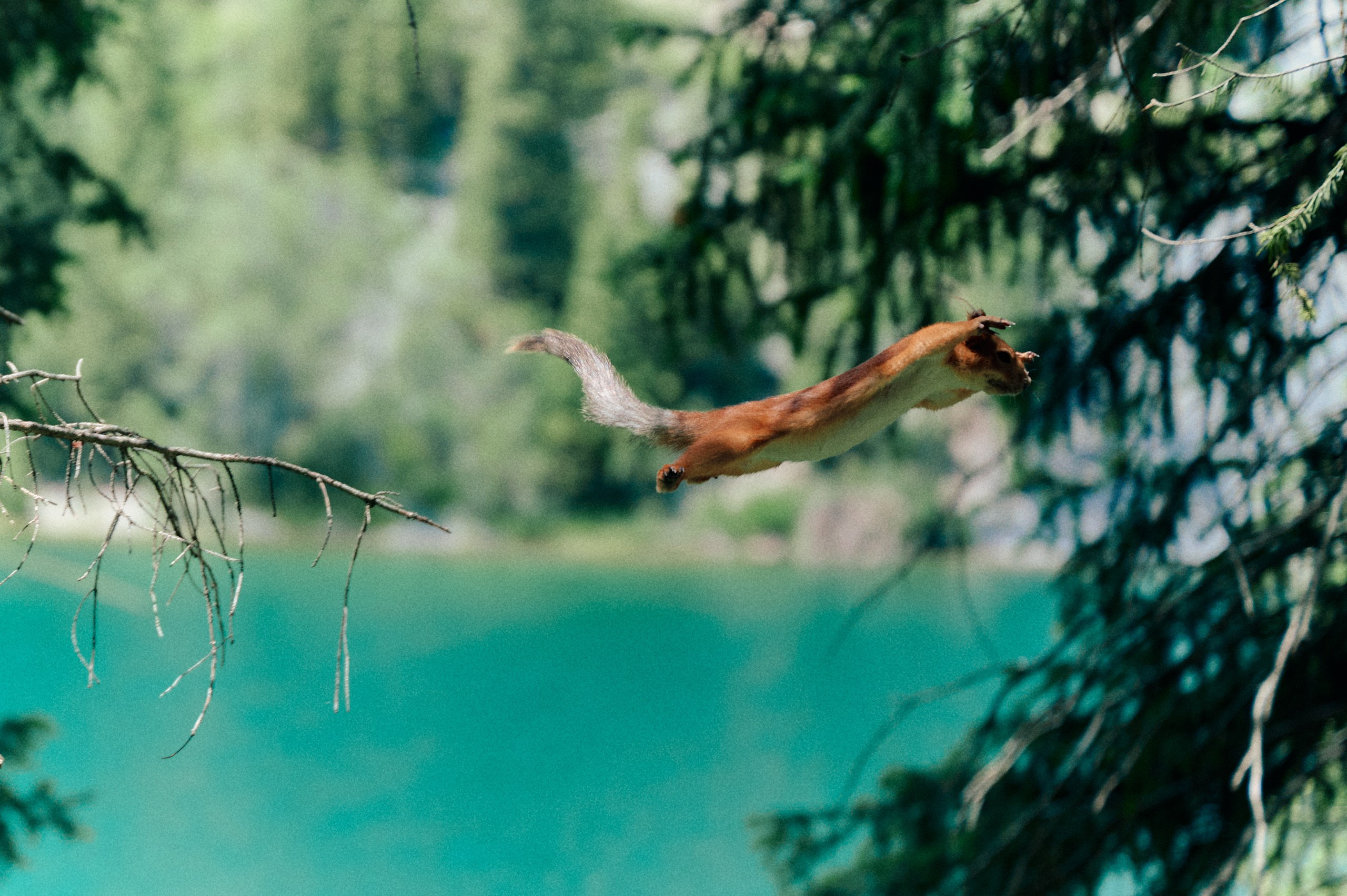 2025 — путешествия на цифру. Фотограф в Алматы — Алексей Коньков | Репортаж, свадьбы, портреты