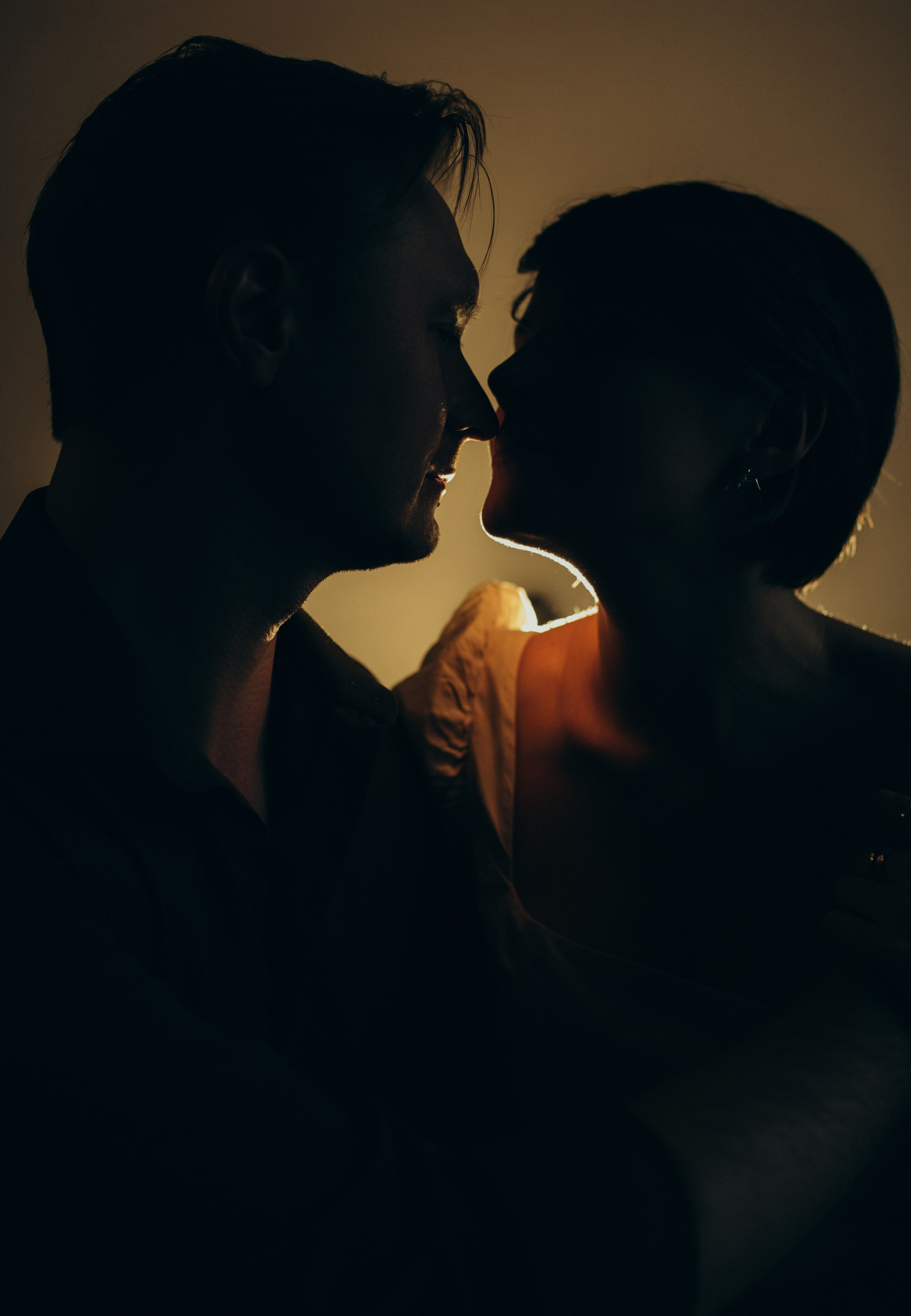 Домашняя история. Meryfotoidea