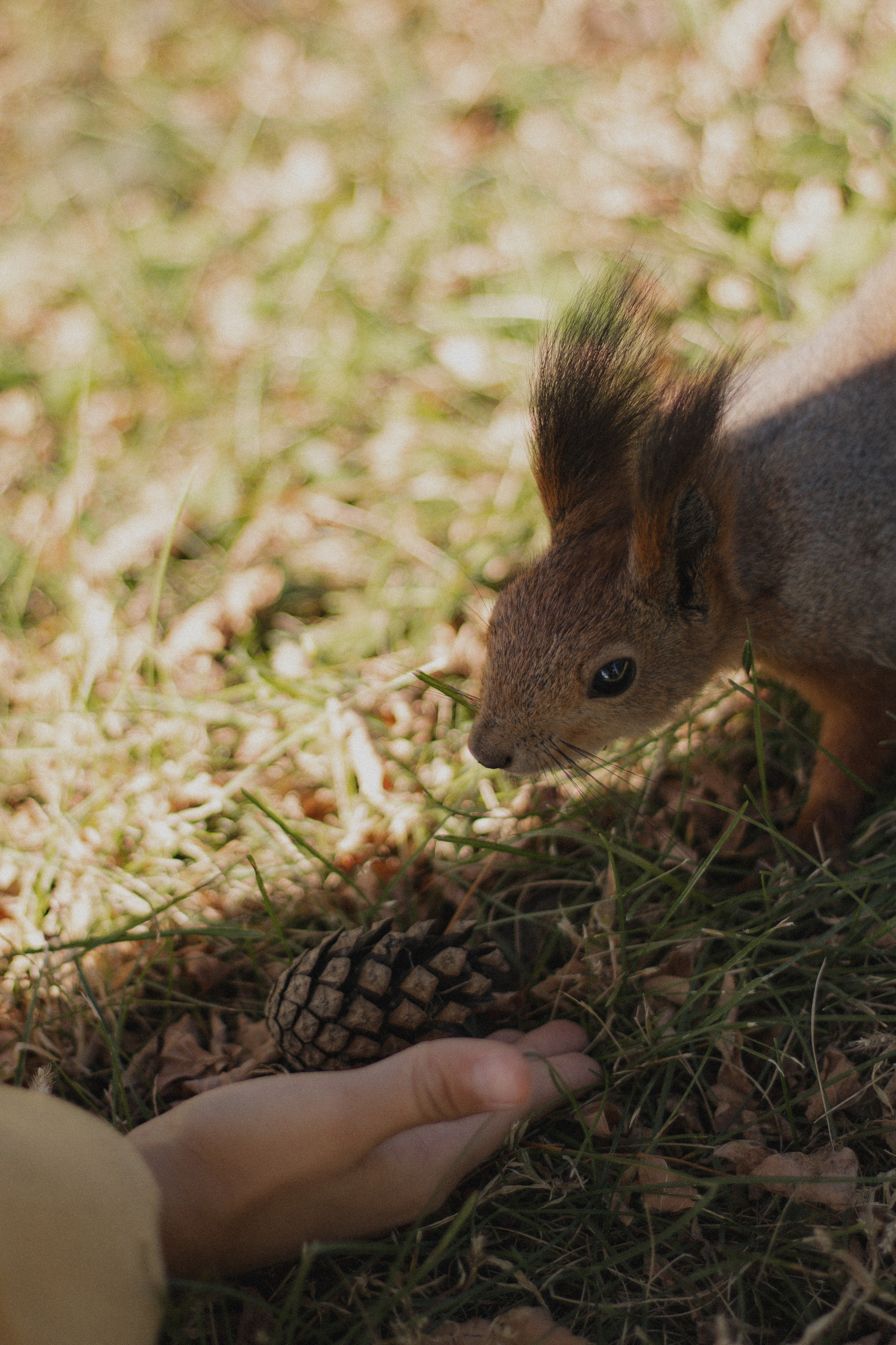 Margarita+Diana+Rita. Lusy Redina | Семейный Фотограф | Волгоград