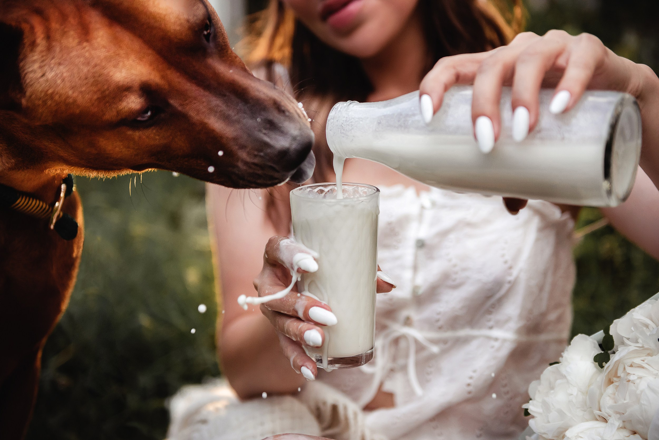 Оксана и Зевс на даче. Семейный Фотограф в Москве Ирина Хохлова