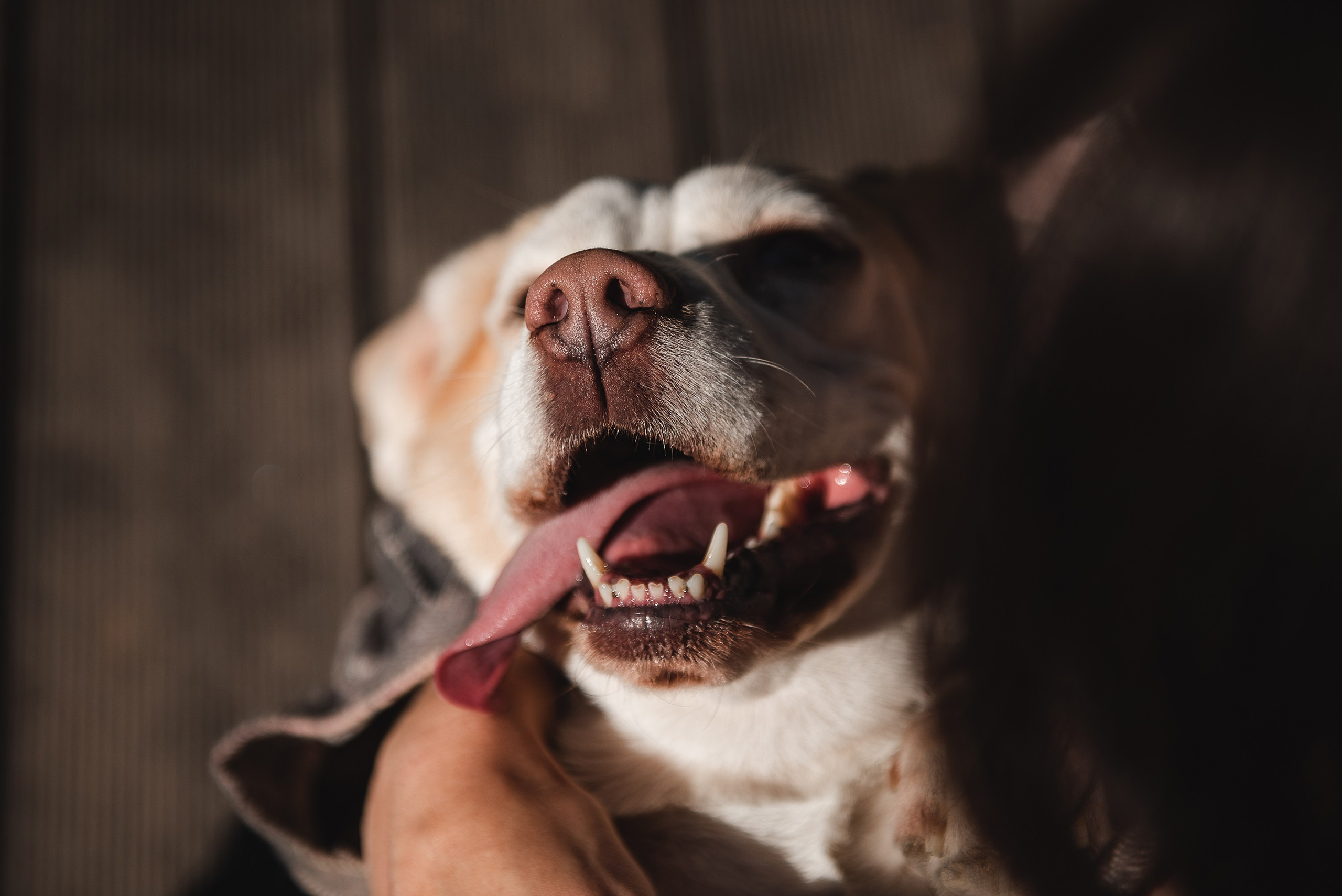 Оля и Ника. Семейный Фотограф в Москве Ирина Хохлова