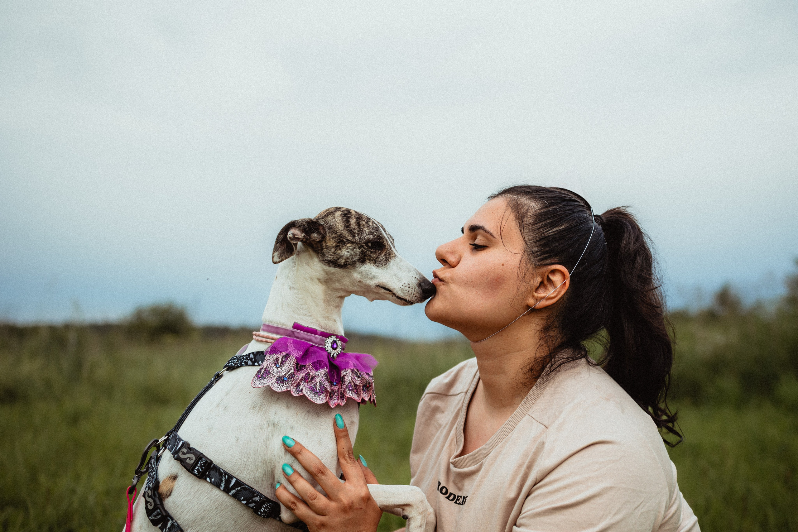 Выездной дог-тренинг от школы «Шерсть имею»