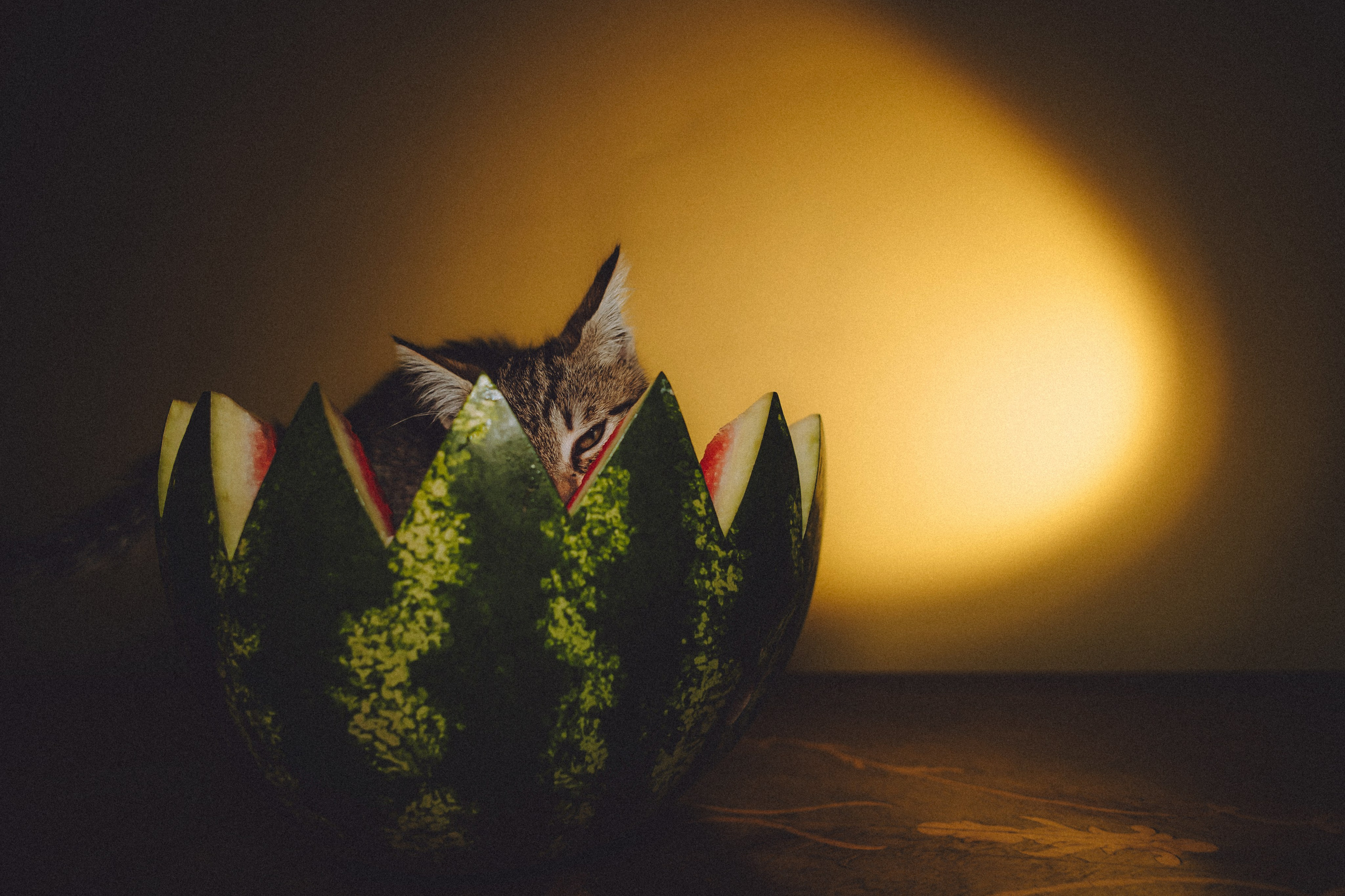 Сирена и арбуз