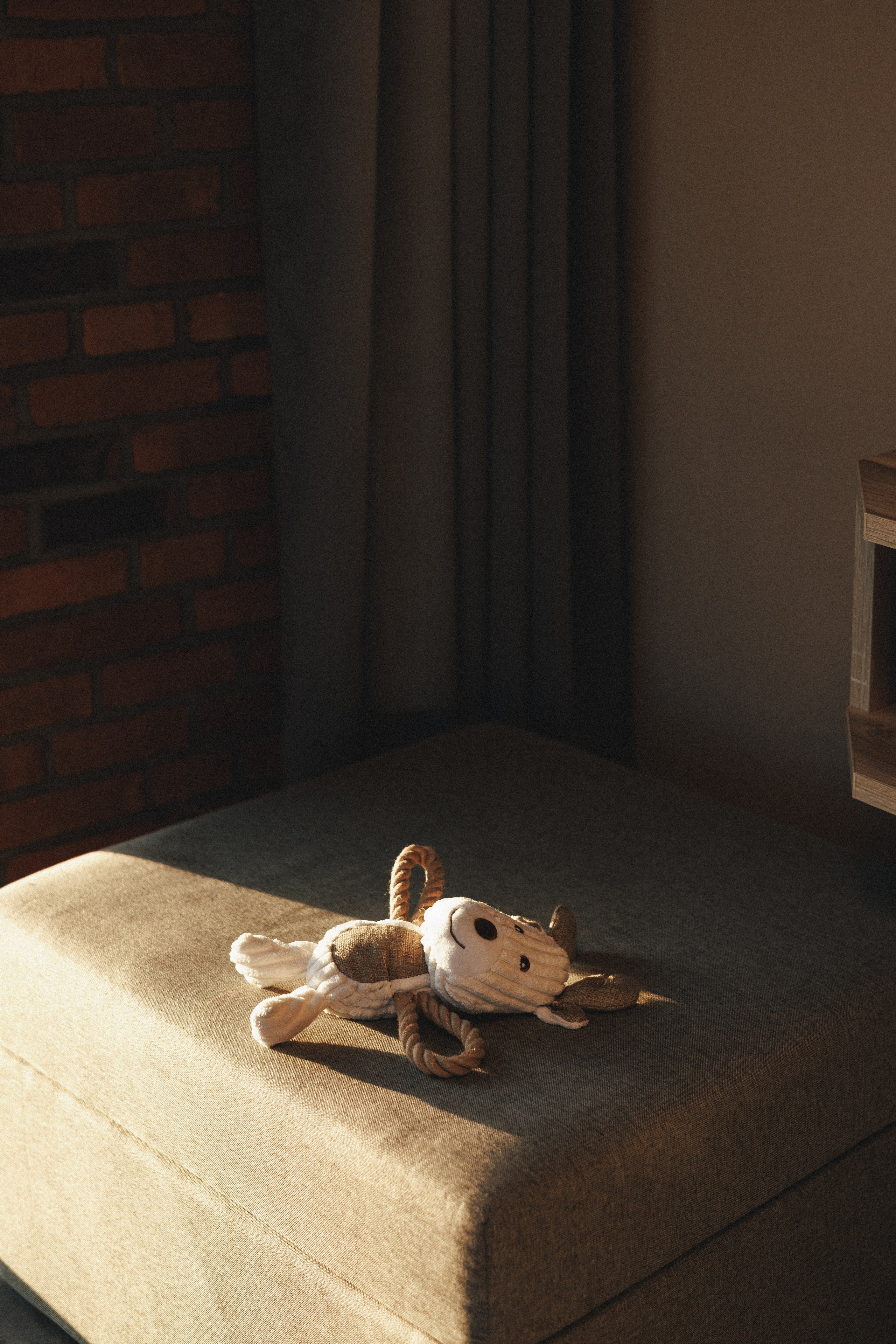 M-Pets. Фотограф анималист Осипчикова Мария