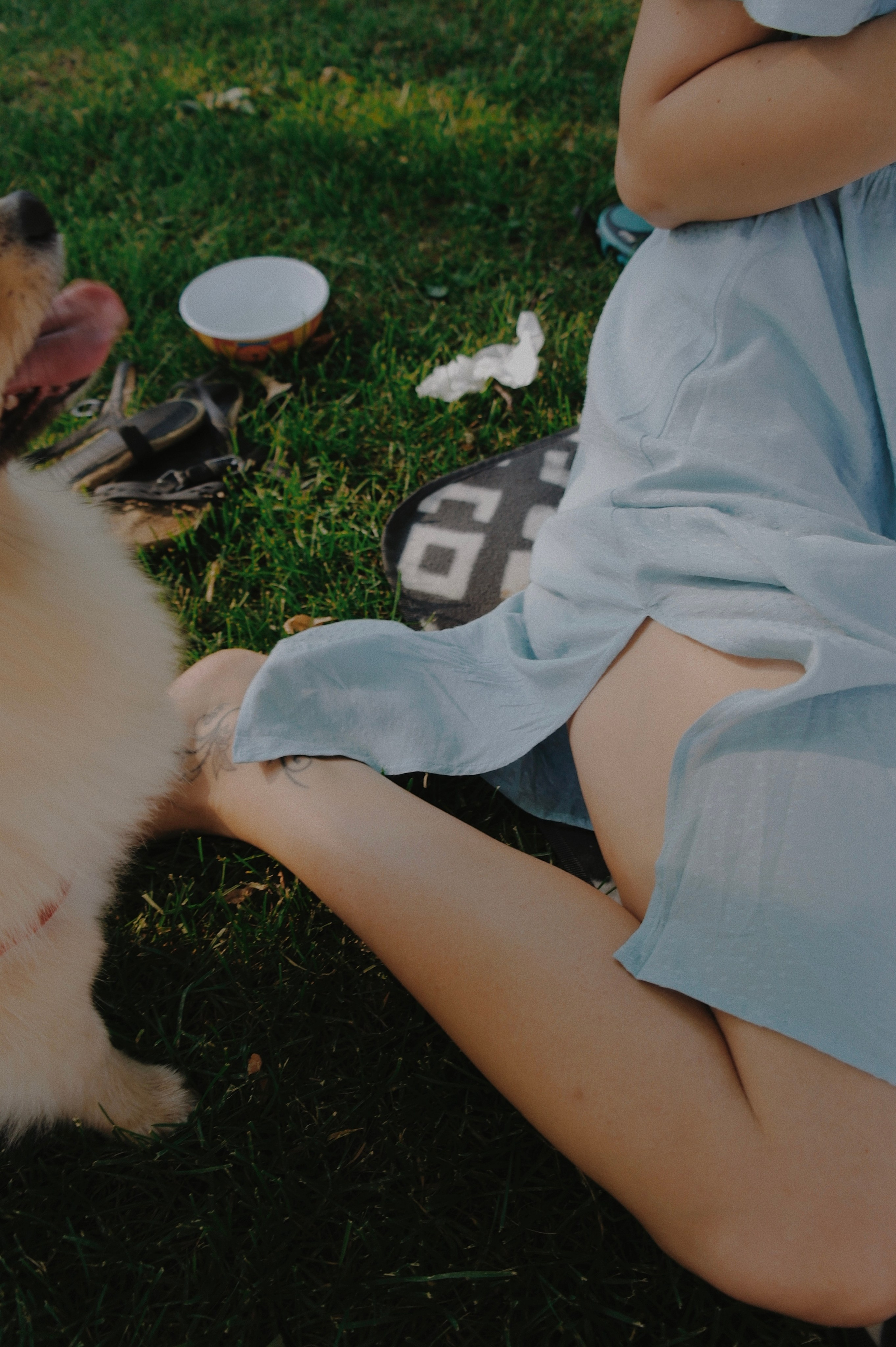 Питомцы. Татьян гертье