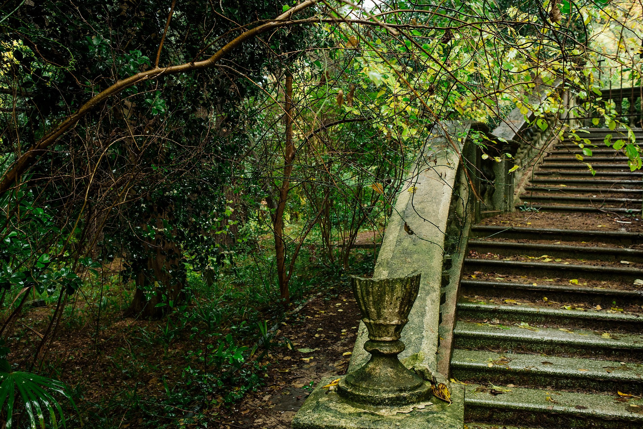 Блог для фотографов и заказчиков. Фотограф Михаил Мордасов, Сочи. Мероприятия, портреты, спорт, репортаж
