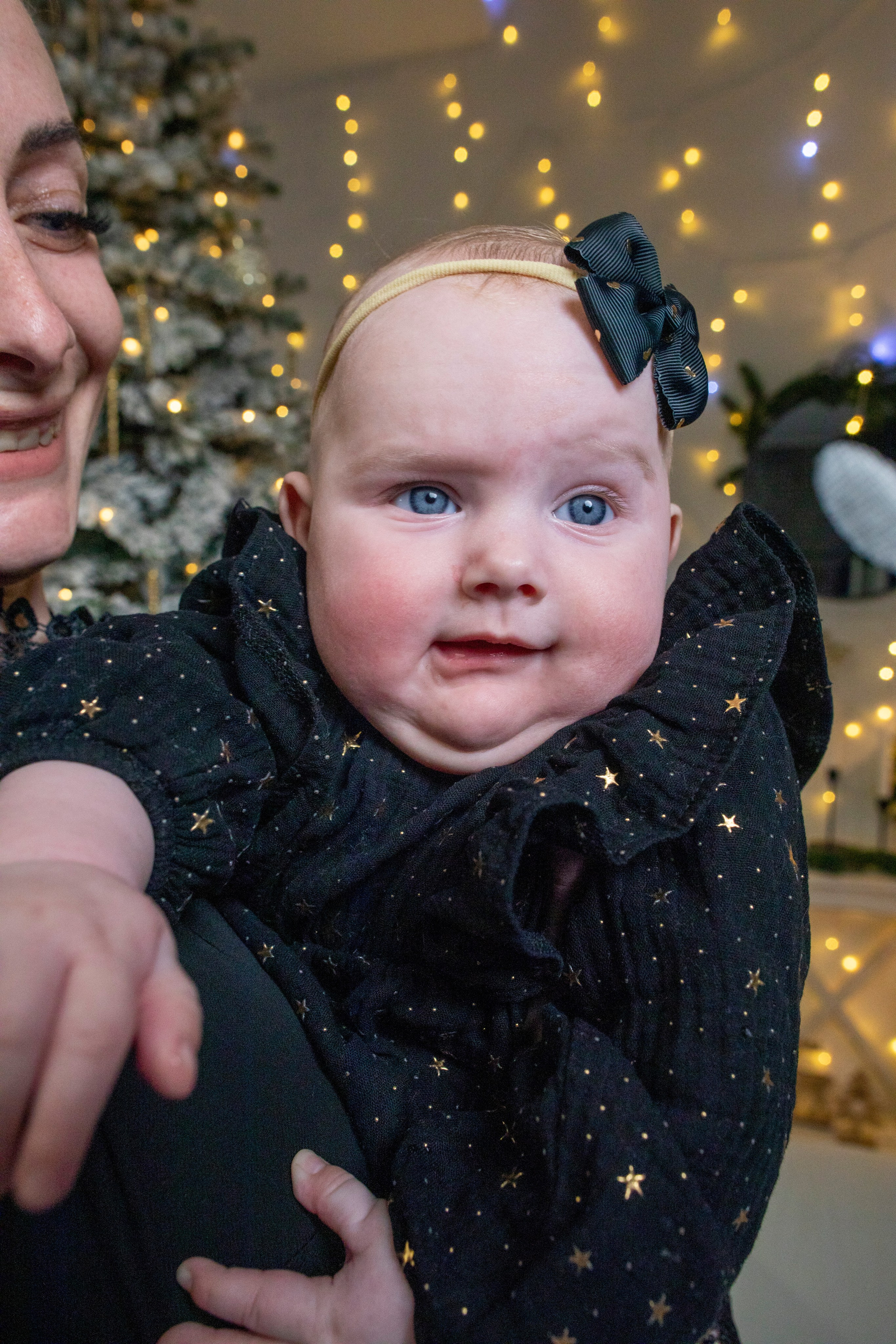 Семейные новогодние. ФОТОХУДОЖНИК