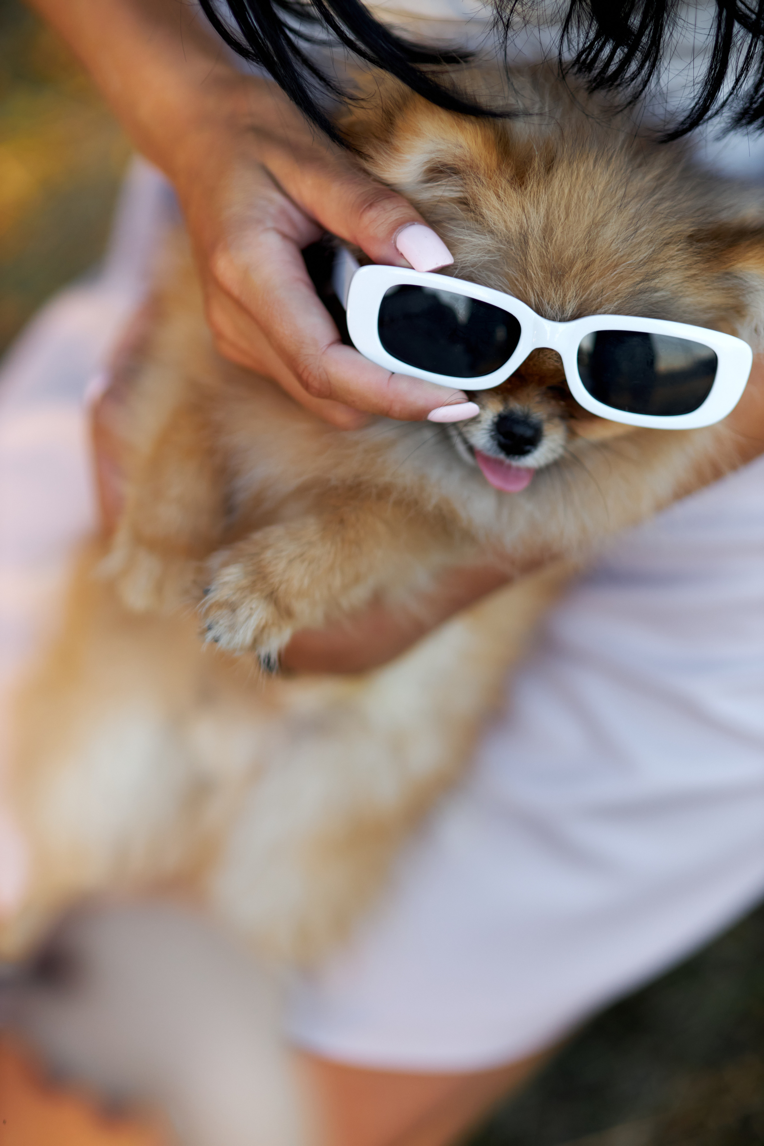 Прогулка. Свадебный и семейный фотограф в Иваново Ратушняк Денис