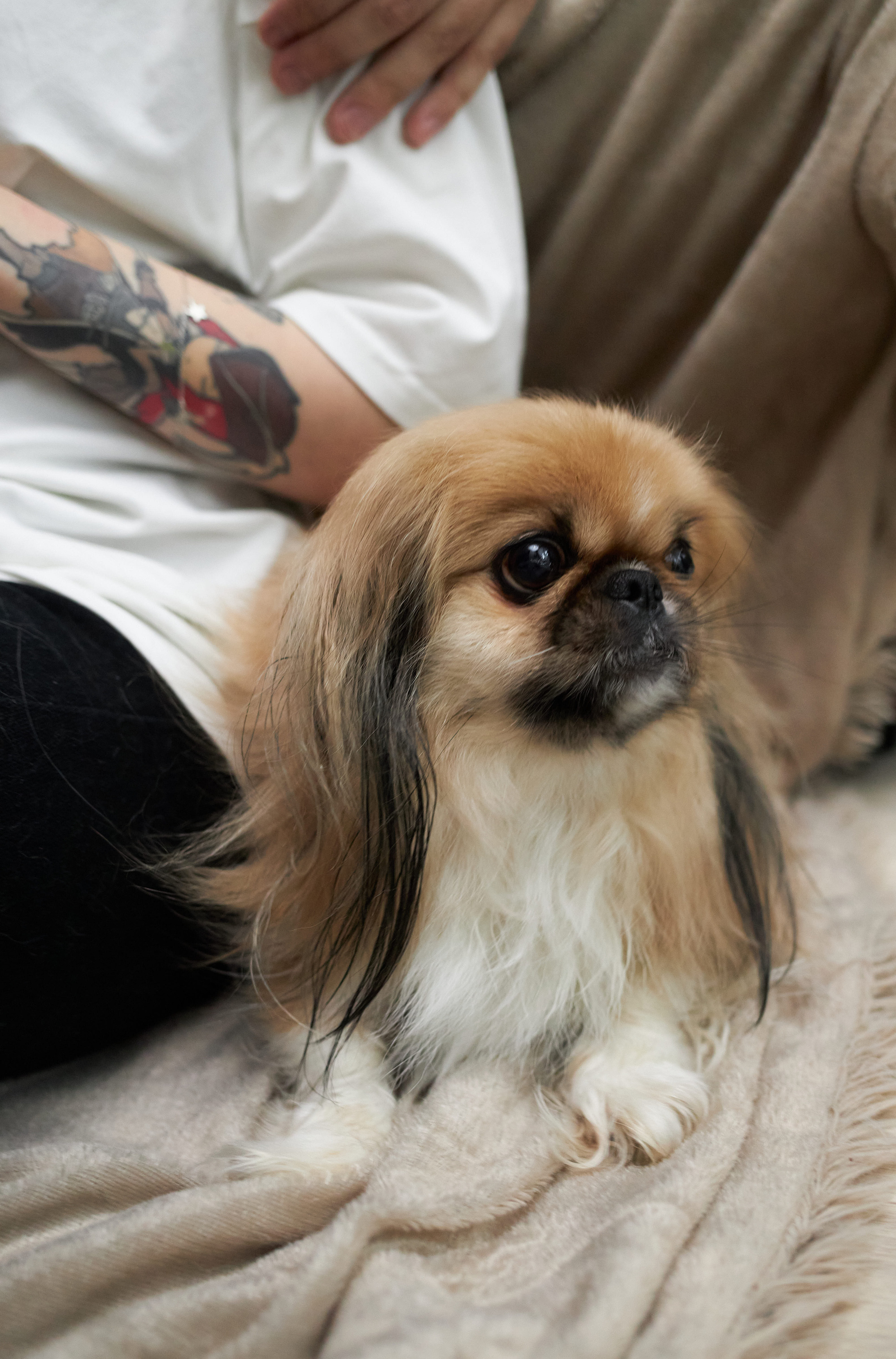 Домашняя съемка. Свадебный и семейный фотограф в Иваново Ратушняк Денис