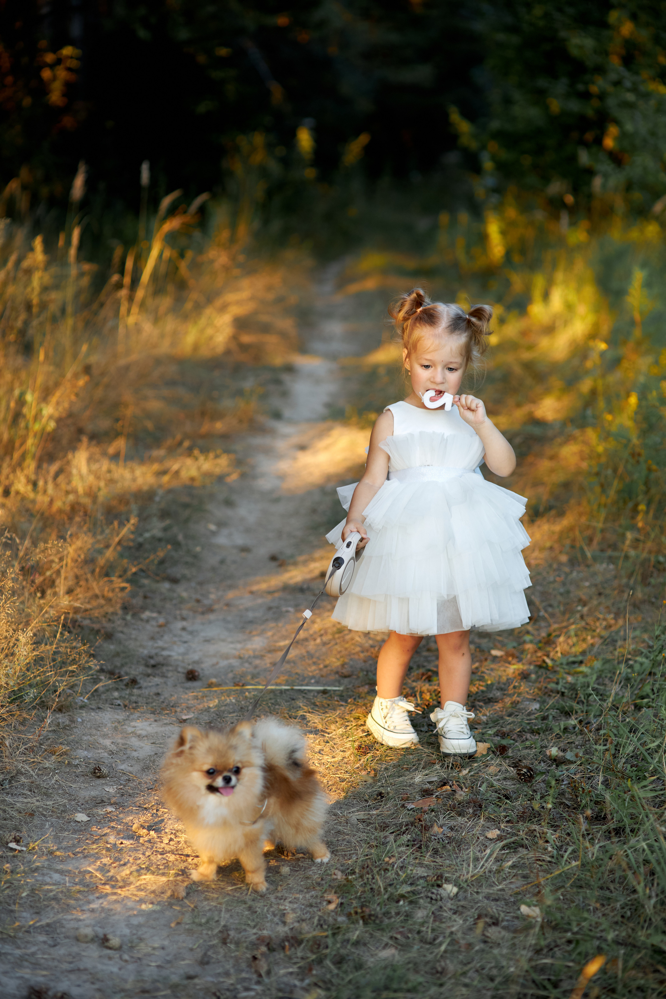 Прогулка. Свадебный и семейный фотограф в Иваново Ратушняк Денис
