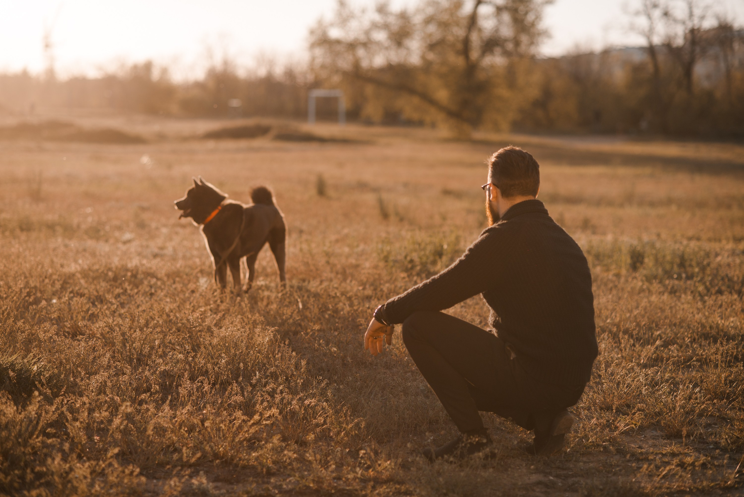 Ярослав. Главная
