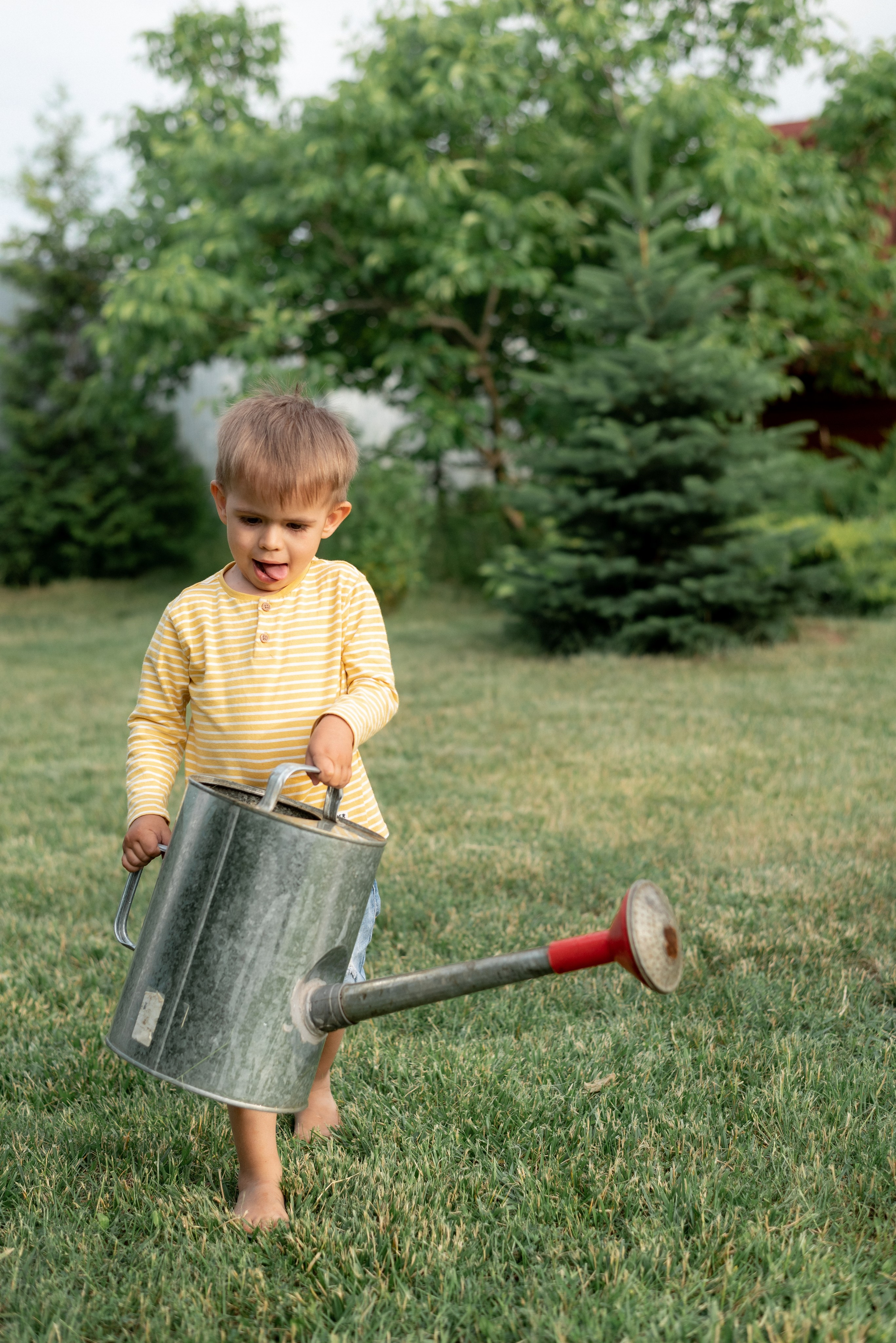 Дача. Семейный фотограф Ирина Сгибнева
