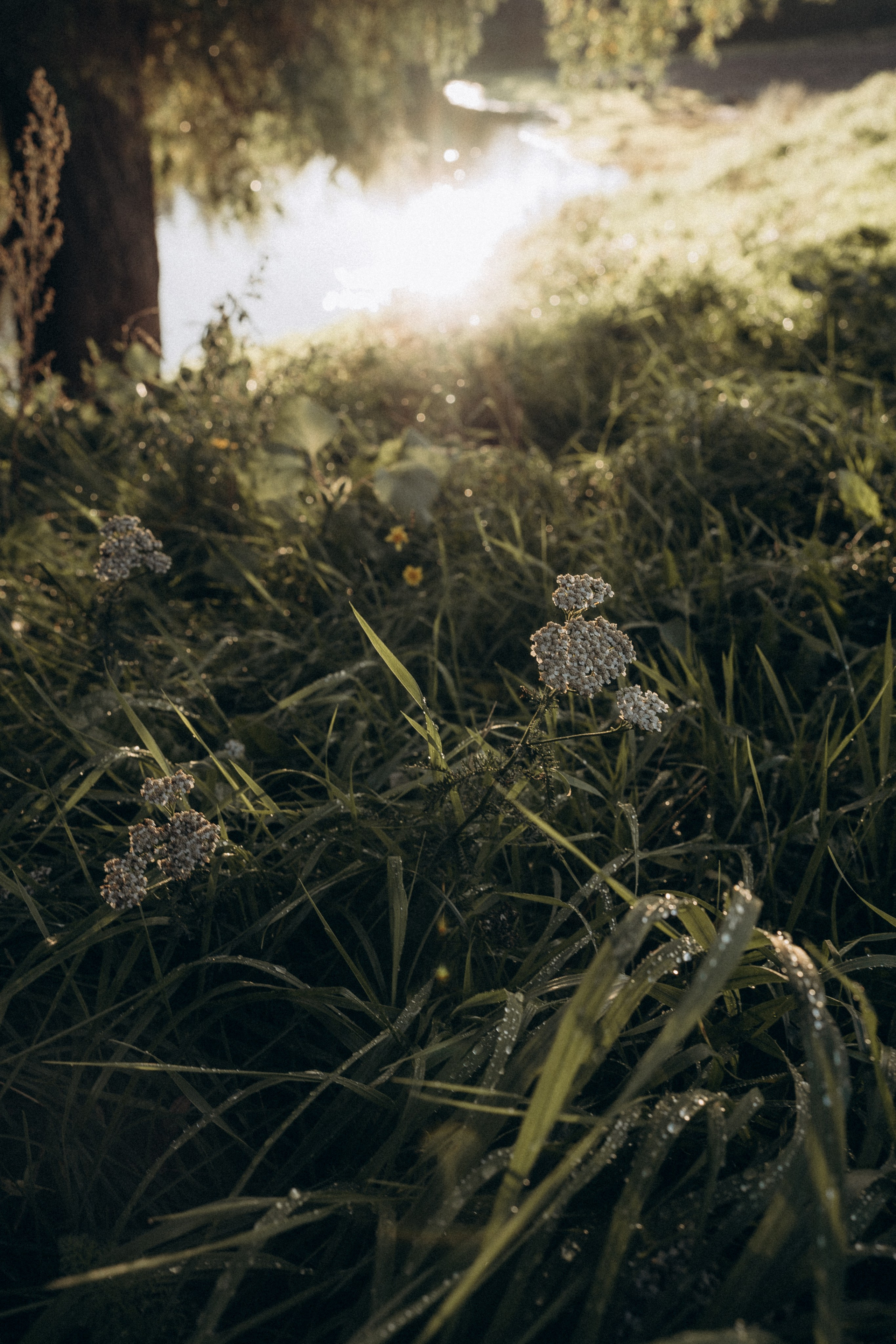 На рыбалке. Семейный и домашний фотограф в Уфе Ирина Гарасюта
