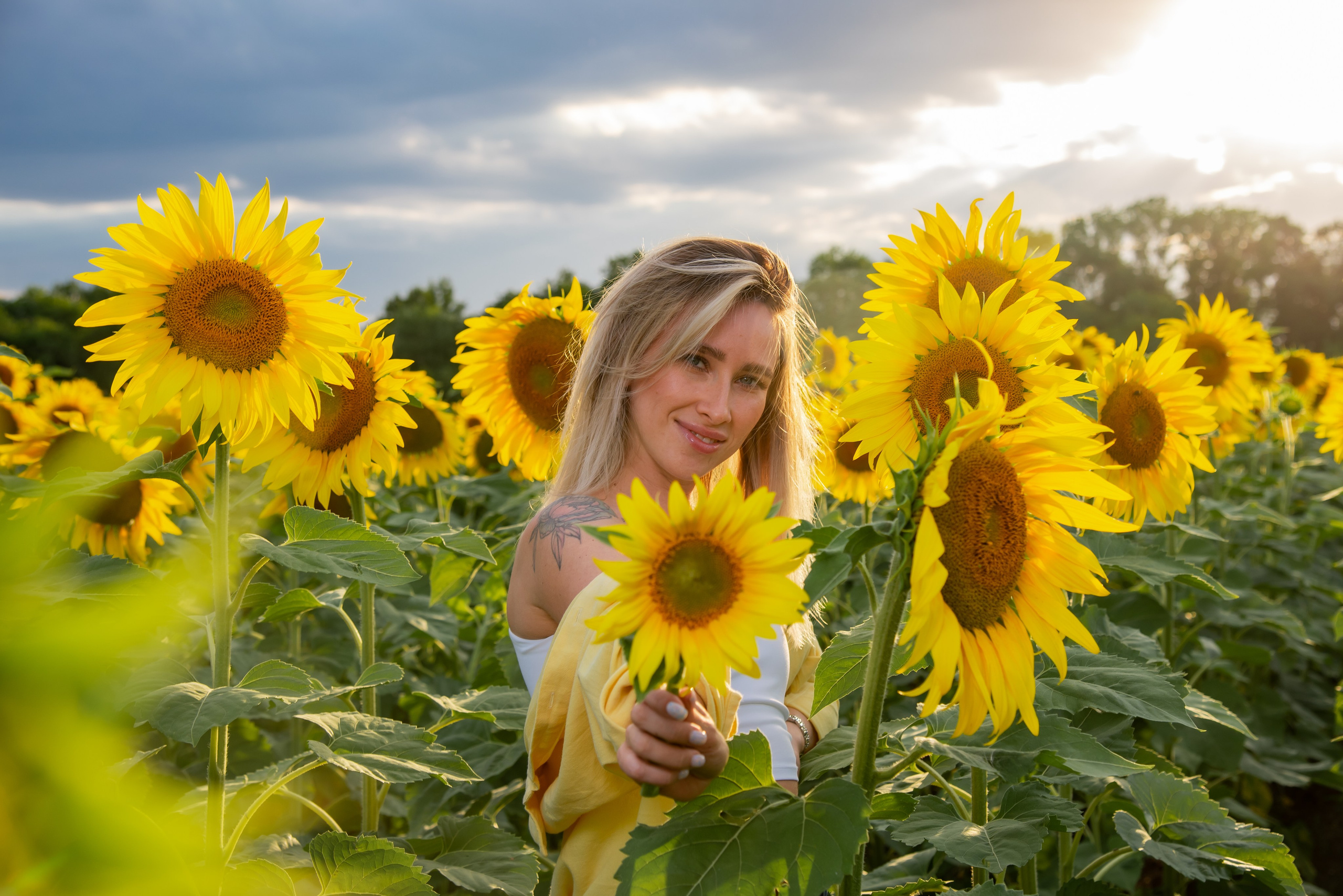 Подсолнух. Фотограф Галина Нестерова