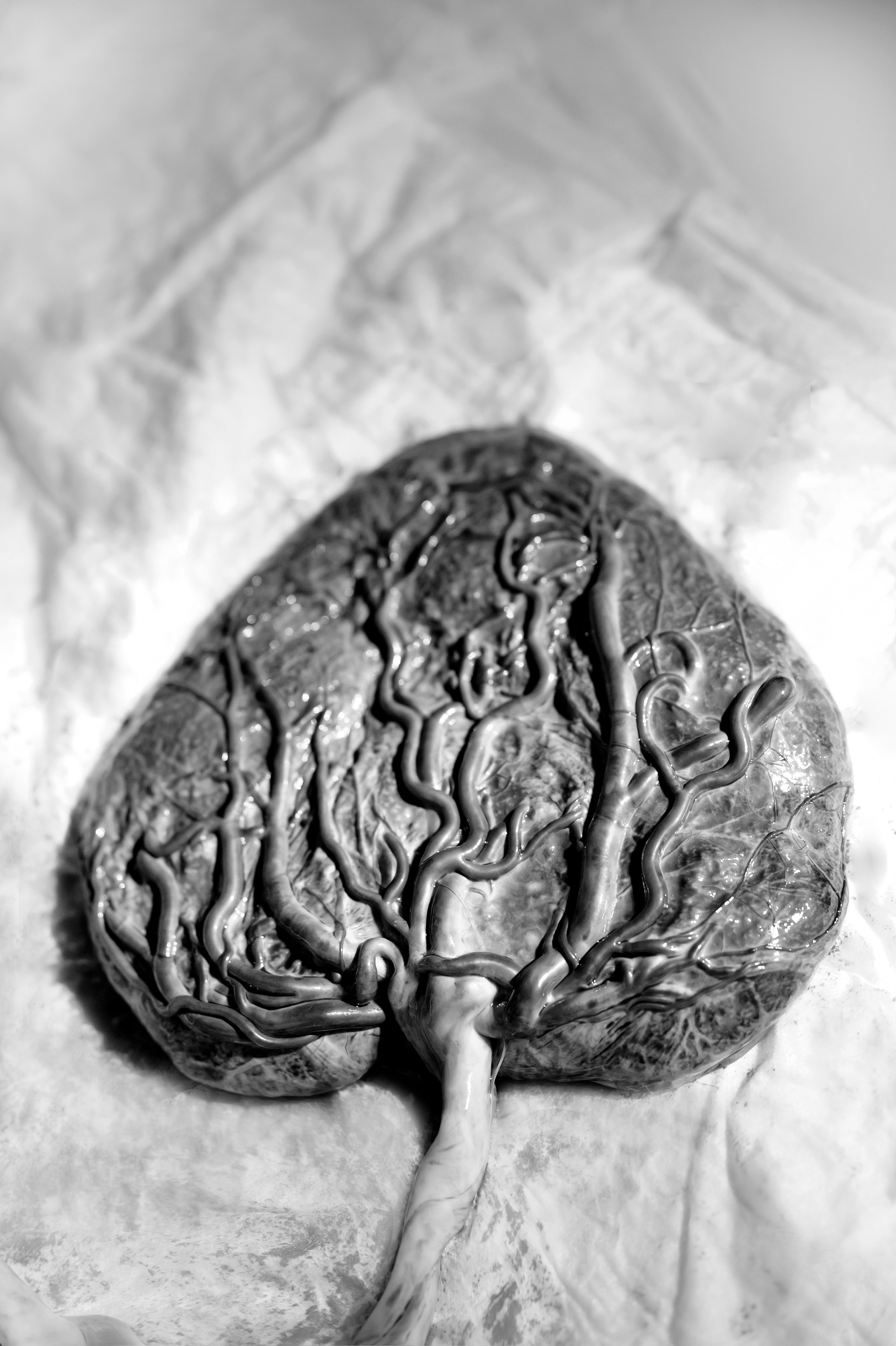 Фотосессия родов. Фотограф Юлия Кондратьева