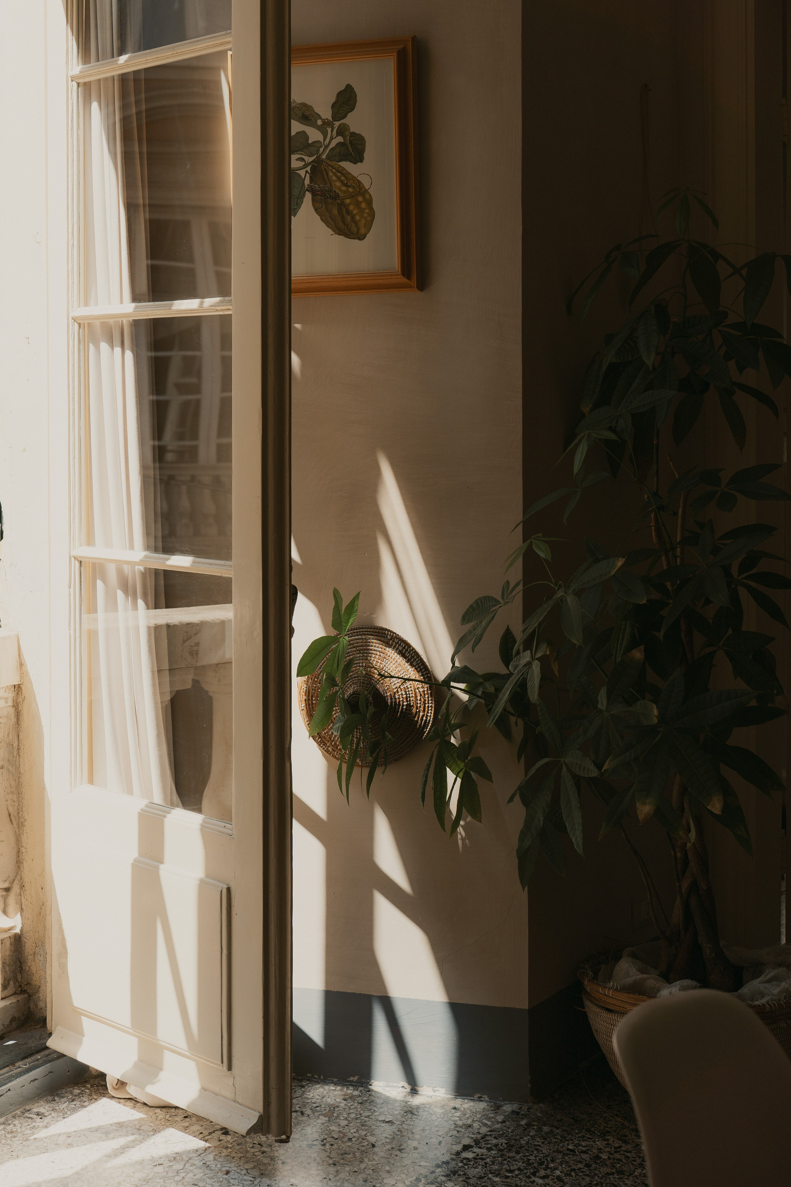 Dimora Almayer | Genoa