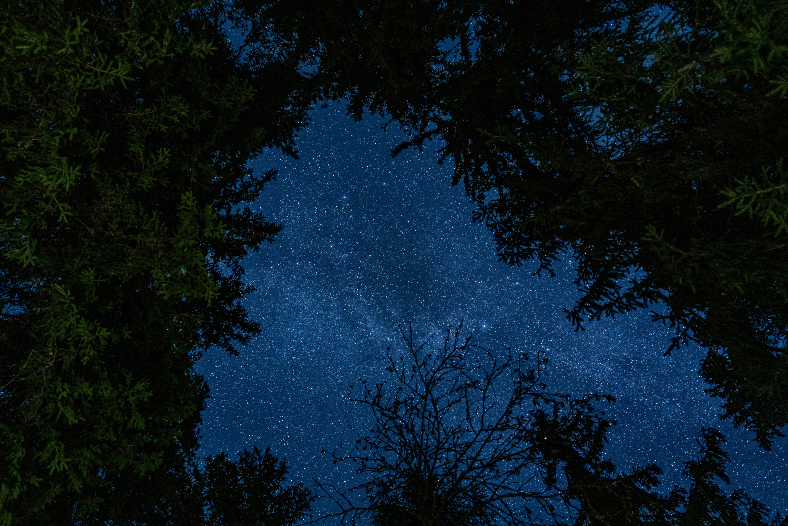 СЕВЕР. Event фотограф Степанова Александра