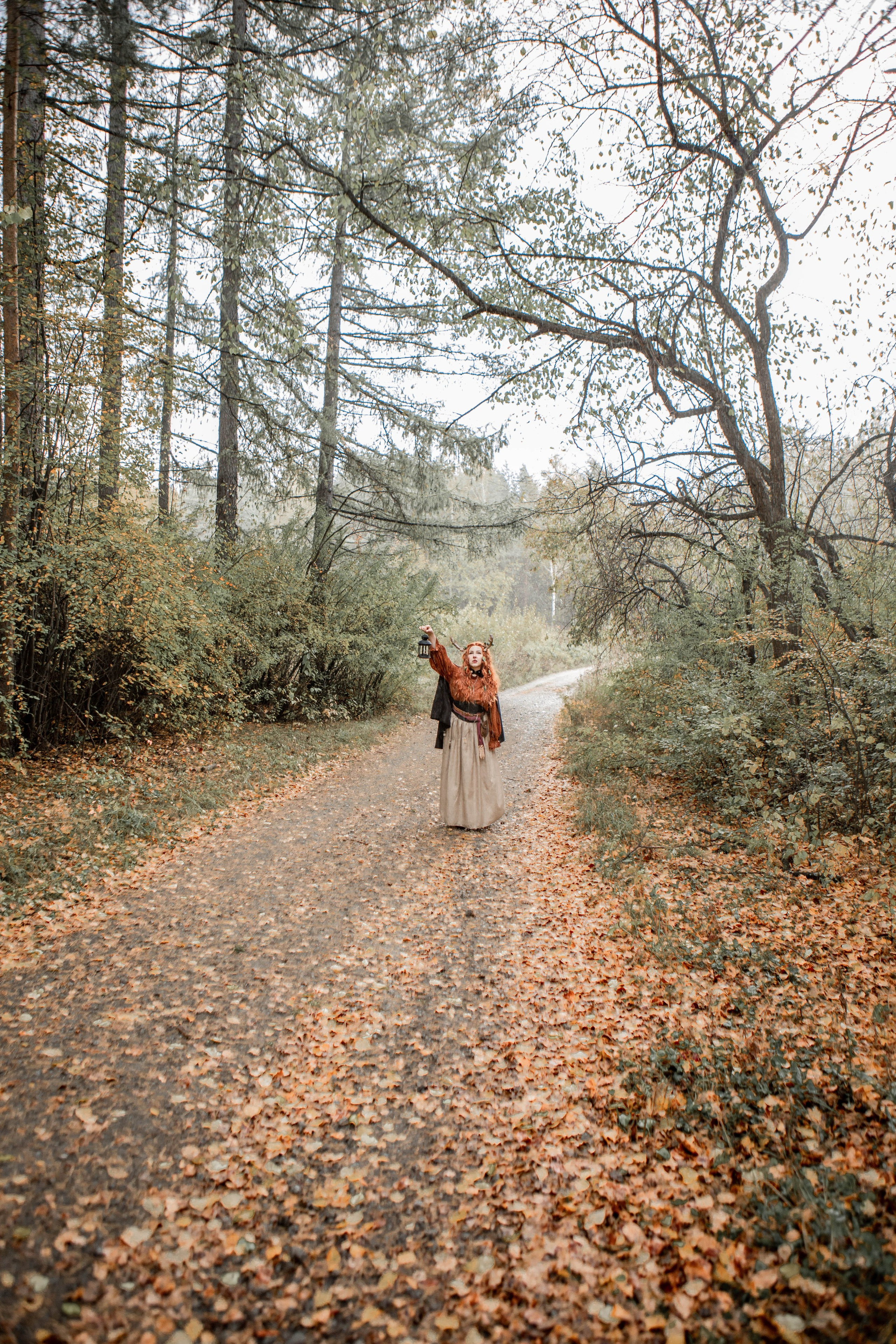 Волшебный лес. Фотограф Екатерина Голицына