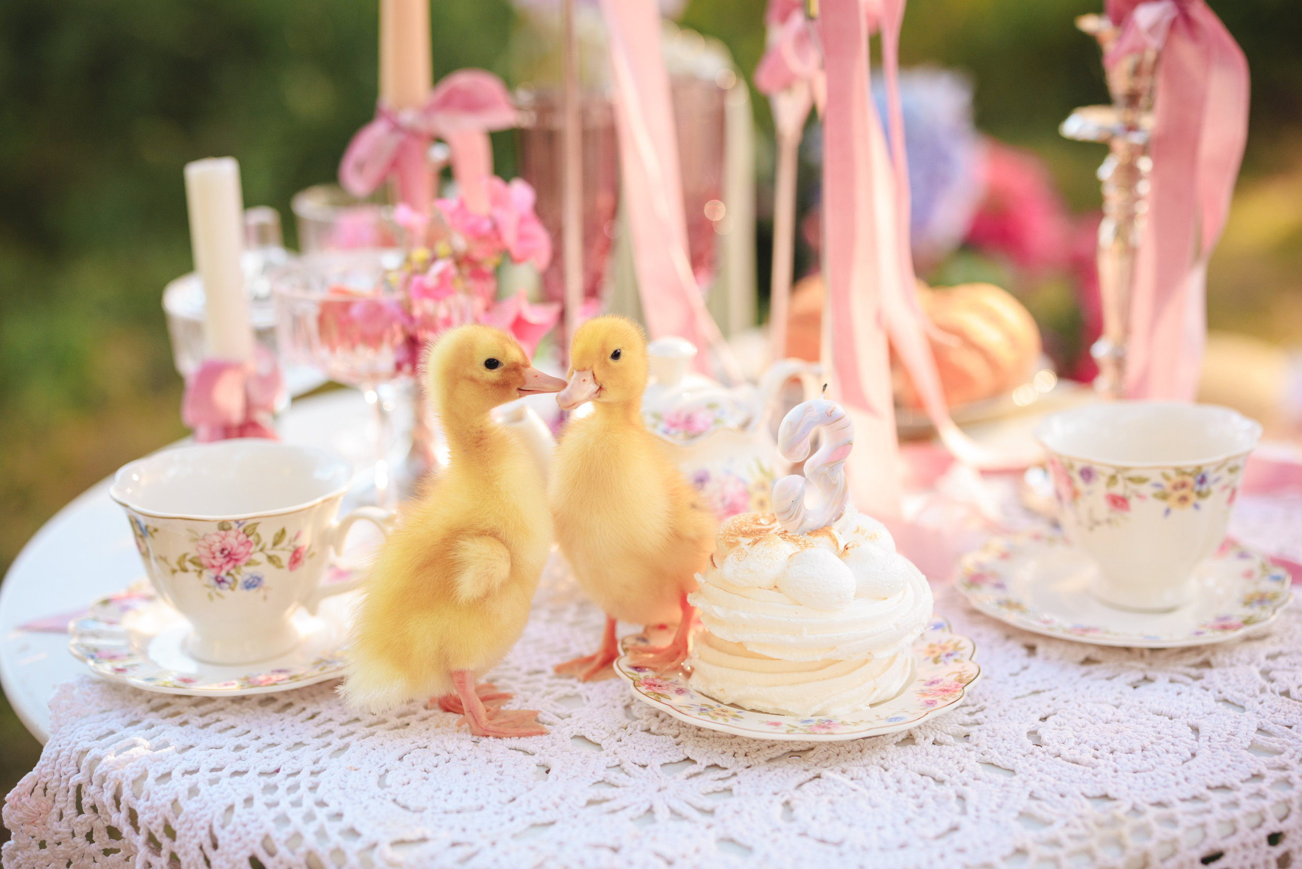 Цветочная кровать с кроликами. Семейный и детский фотограф в Краснодаре Анна Трашкова