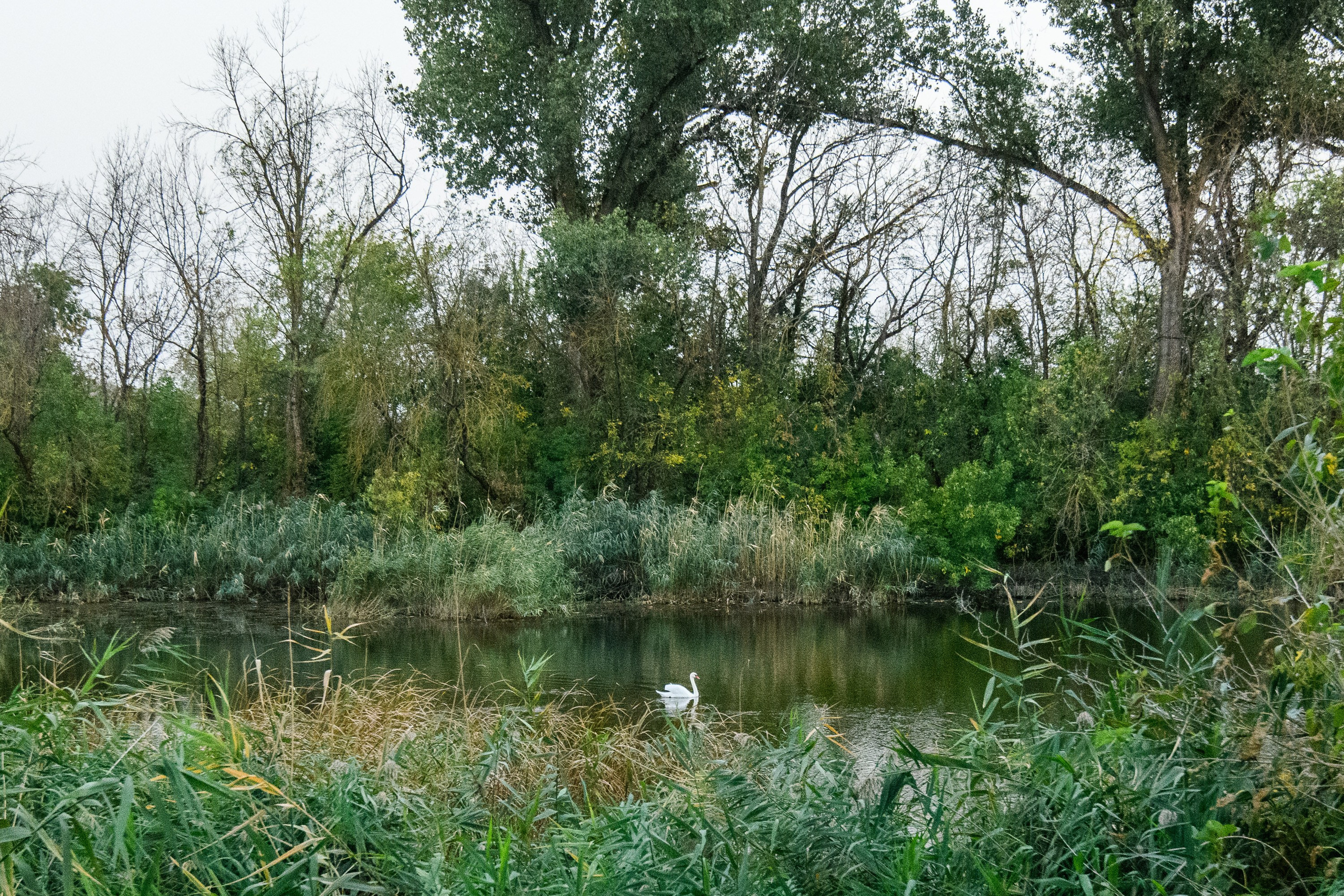 Тихорецк. Профессиональная фотосъемка. Ростов-на-Дону