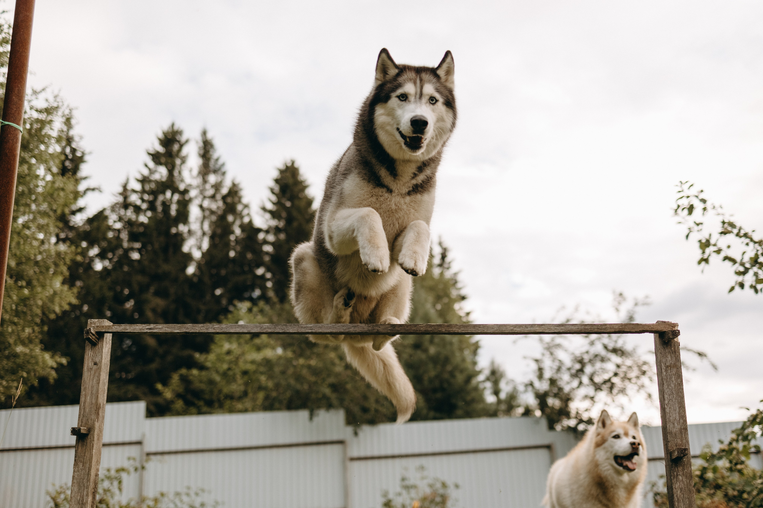 Дом у реки. Фотограф — Анималист | Санкт-Петербург