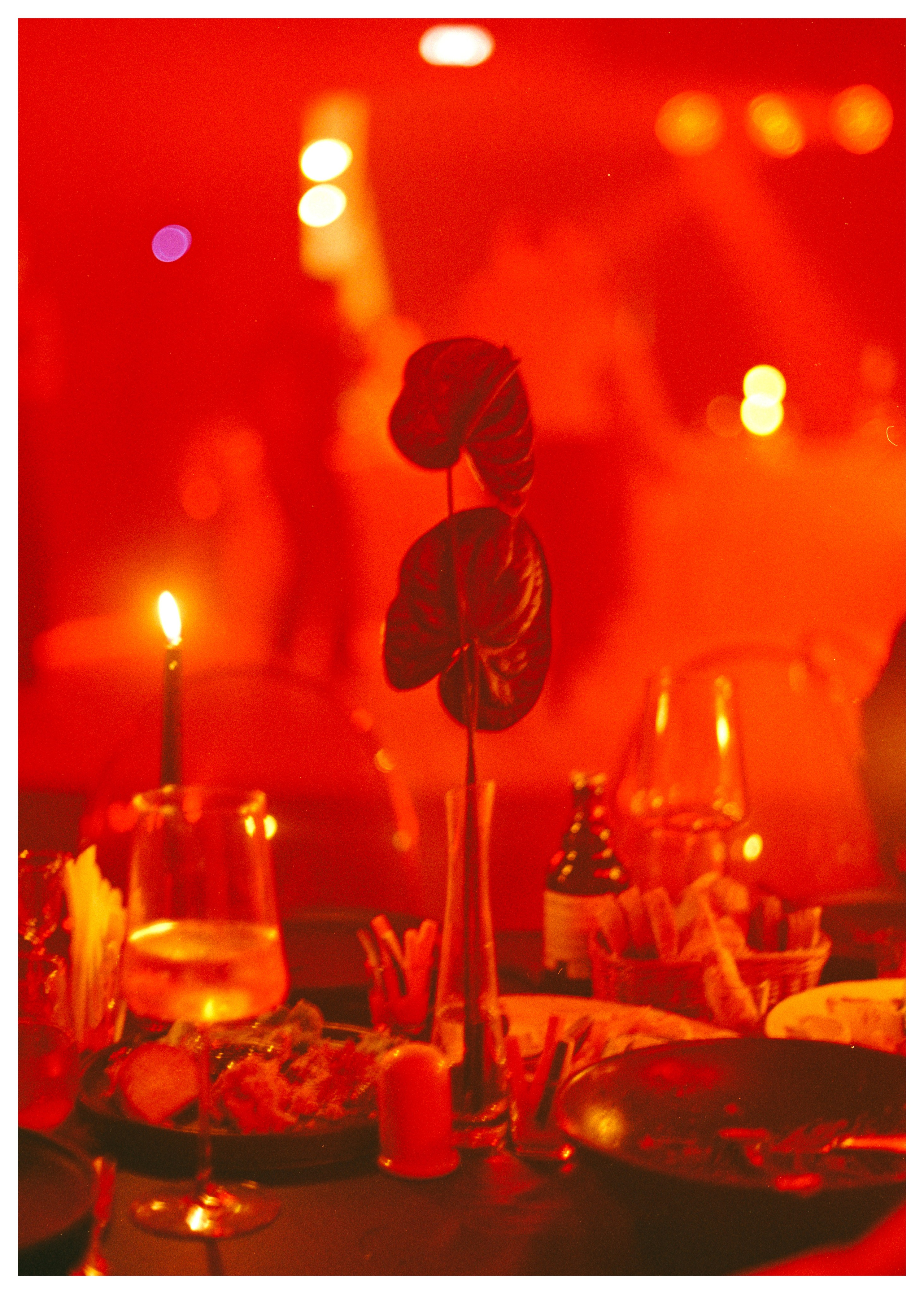 АЛЁНА И НИКИТА. Свадебный и семейный фотограф Никита Корохов