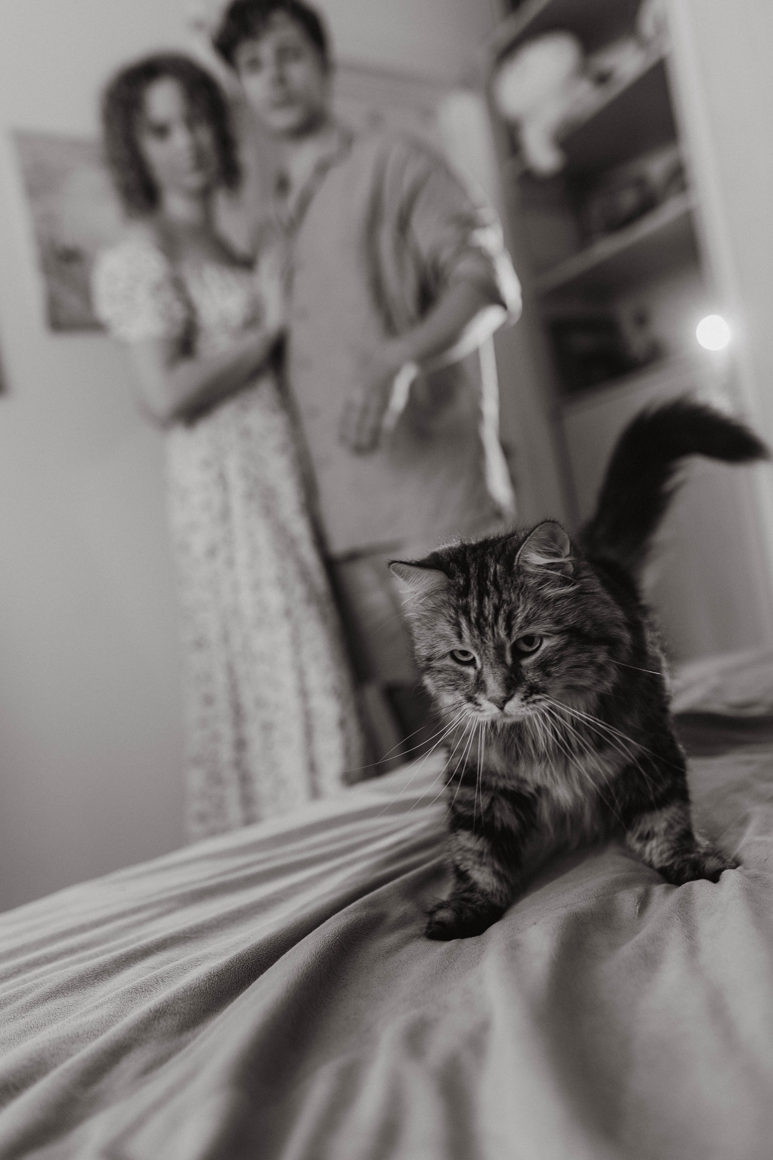 Аня, Костя и котики. Фотограф Саратов