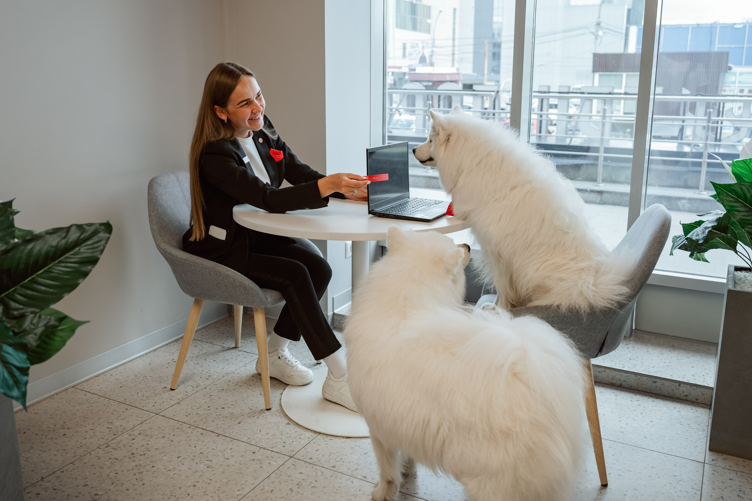 Альфа банк Карла Маркса 5. Фотограф Кристина Тумаева. Самоед Новосибирск