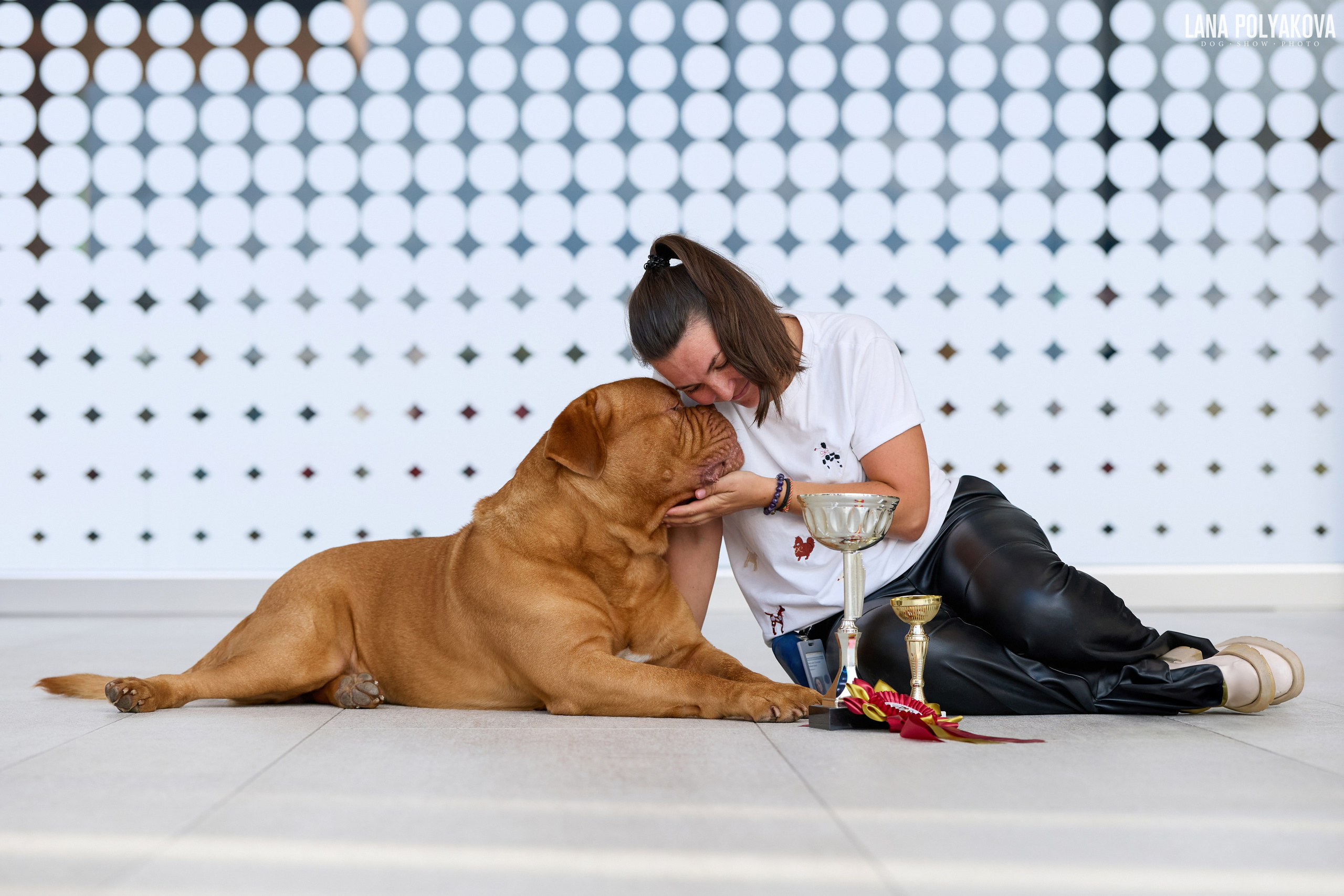 Как подготовить собаку к выставке: чек-лист для фото. ФОТОГРАФ-АНИМАЛИСТ l LANA POLYAKOVA