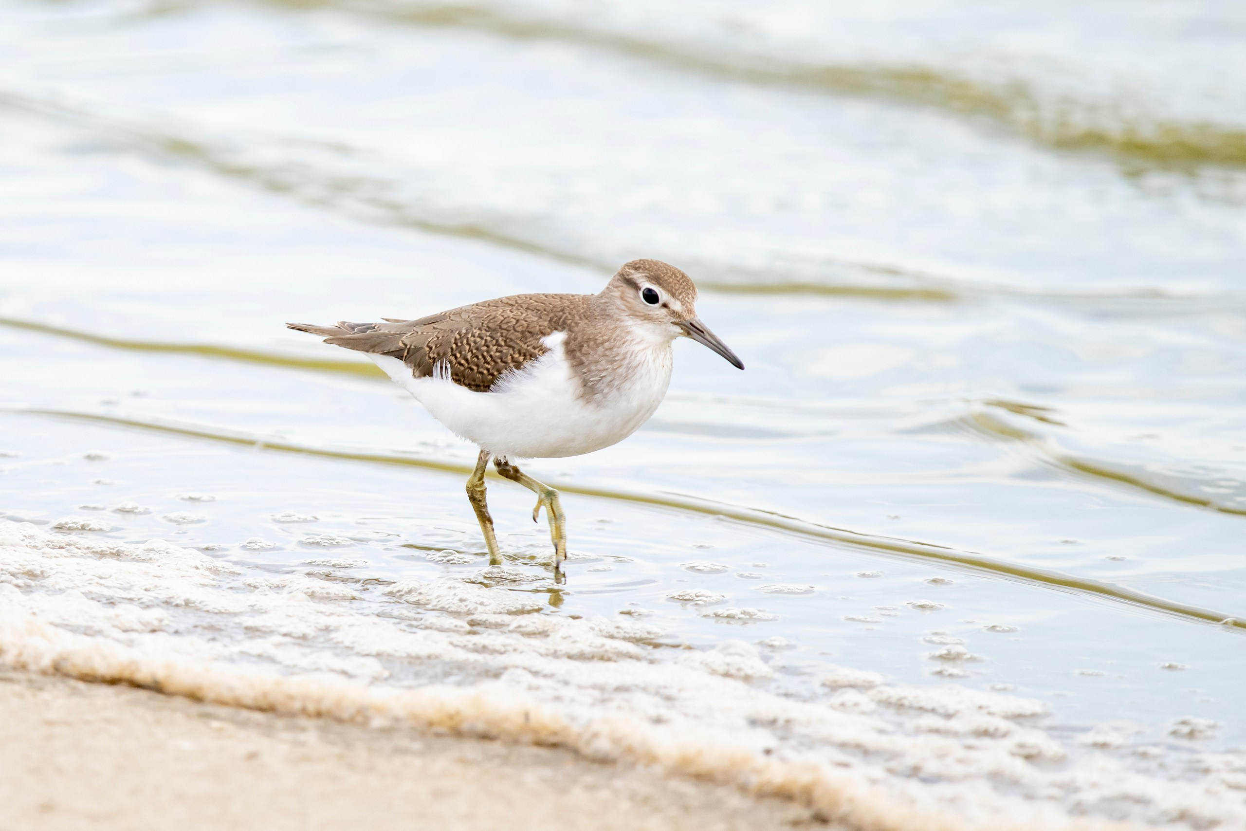 Природа Дагестана, сентябрь 2024. Foto-Zuev фотография как искусство