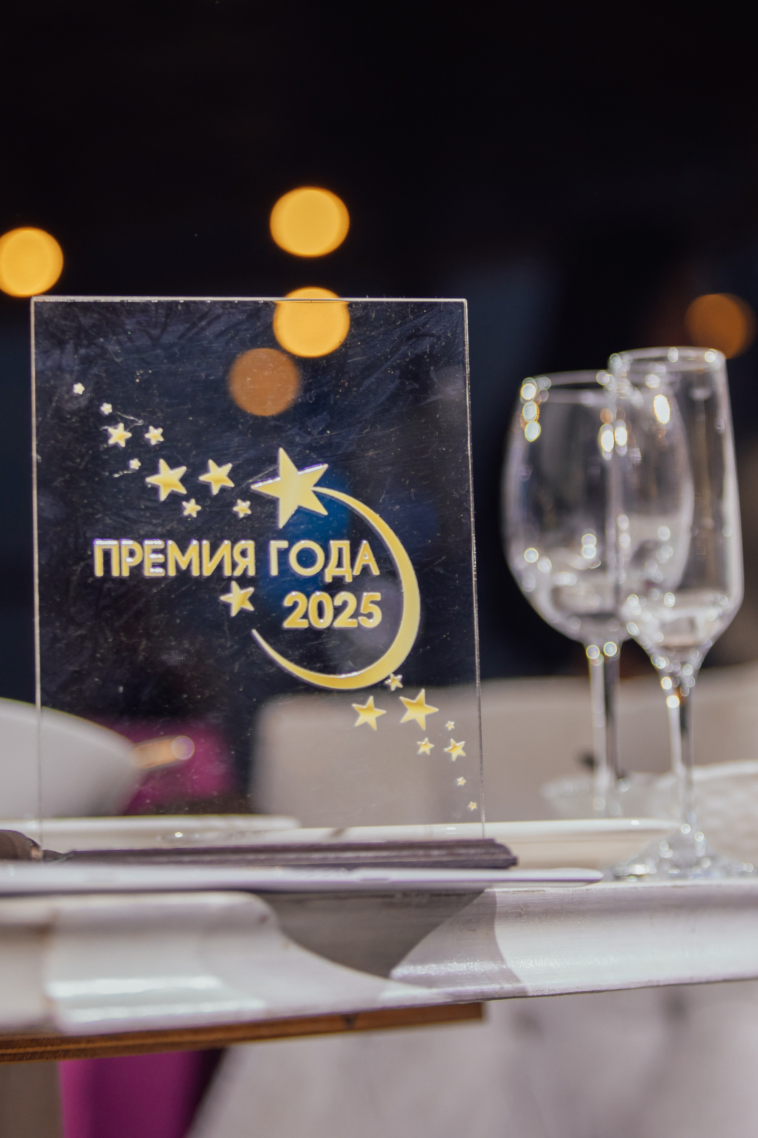 Премия года 2025. Фотограф Анастасия Романова Рязань