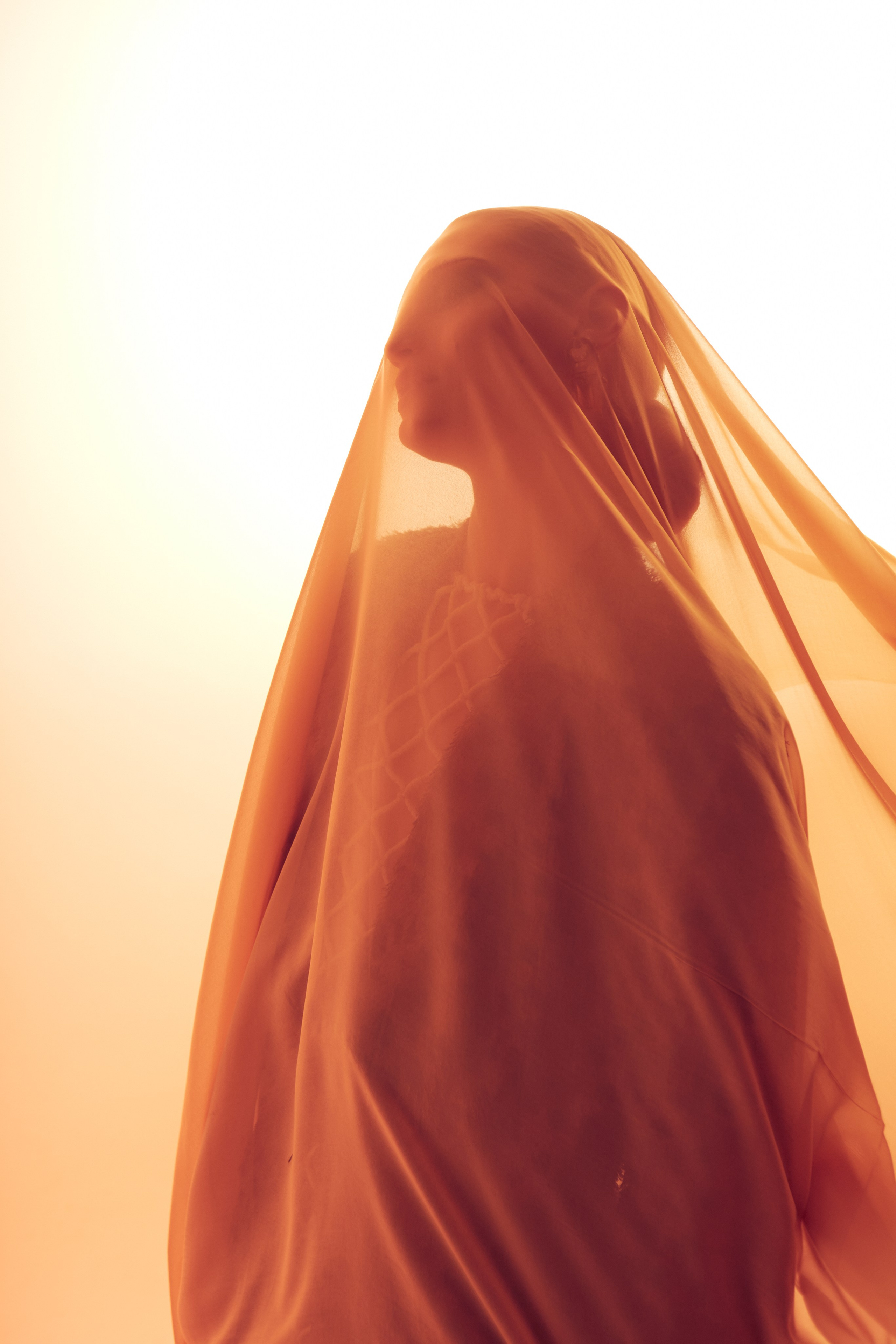 Алена. Контакты