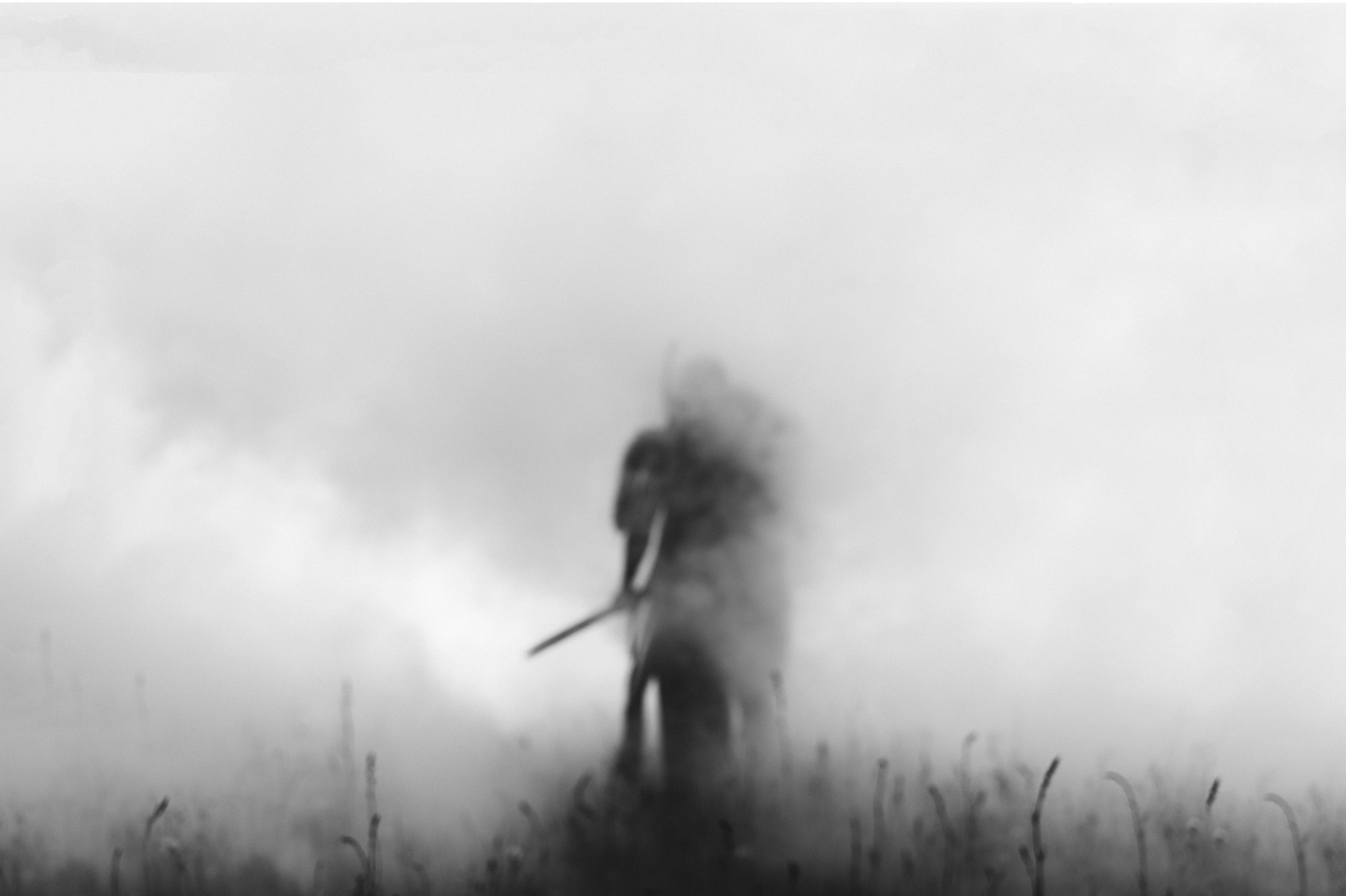 Warrior. Wedding photograph in europe Vasencev Alexey