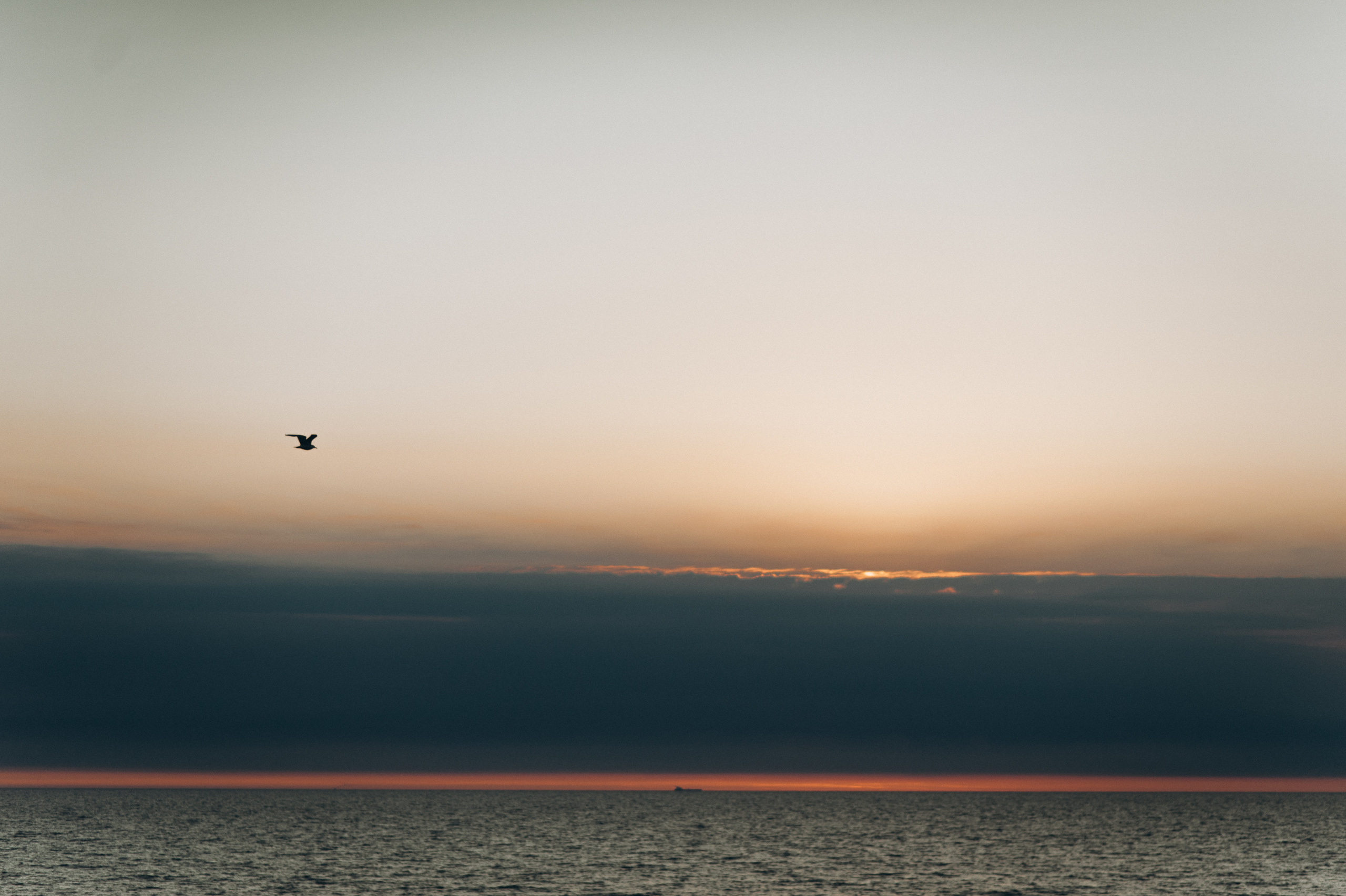 Фотограф Клайпеда, лавстори, lovestory, парные  фотосессии, фотограф Минск, Клайпеда,
фотограф европа, Море, Olando Kepure, Шапка Голанца, Обрыв, Литва