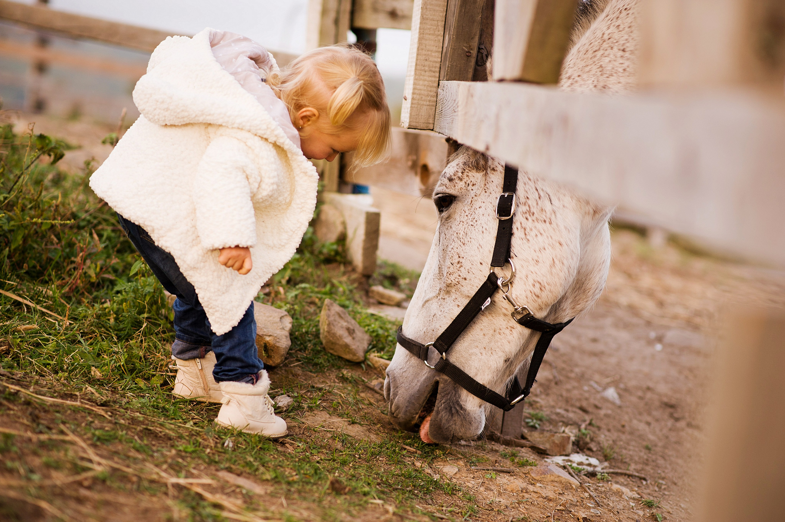 МАЛЫШИ. Фотограф Вера Демидкова