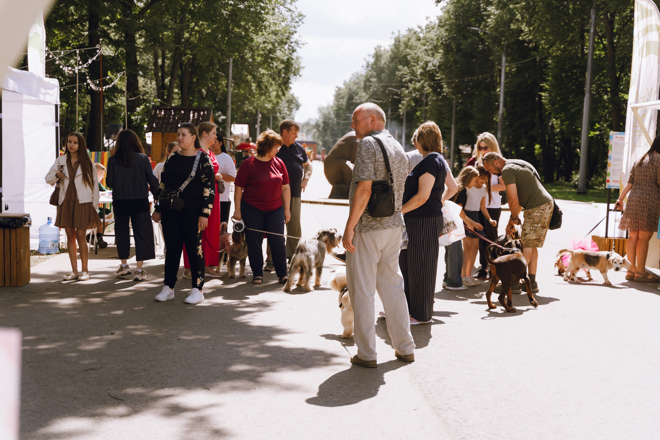 Площадка фестиваля «Мампус и его друзья» в Лесопарке 2025. Фотограф Надежда Погребняк | Рязань | Москва