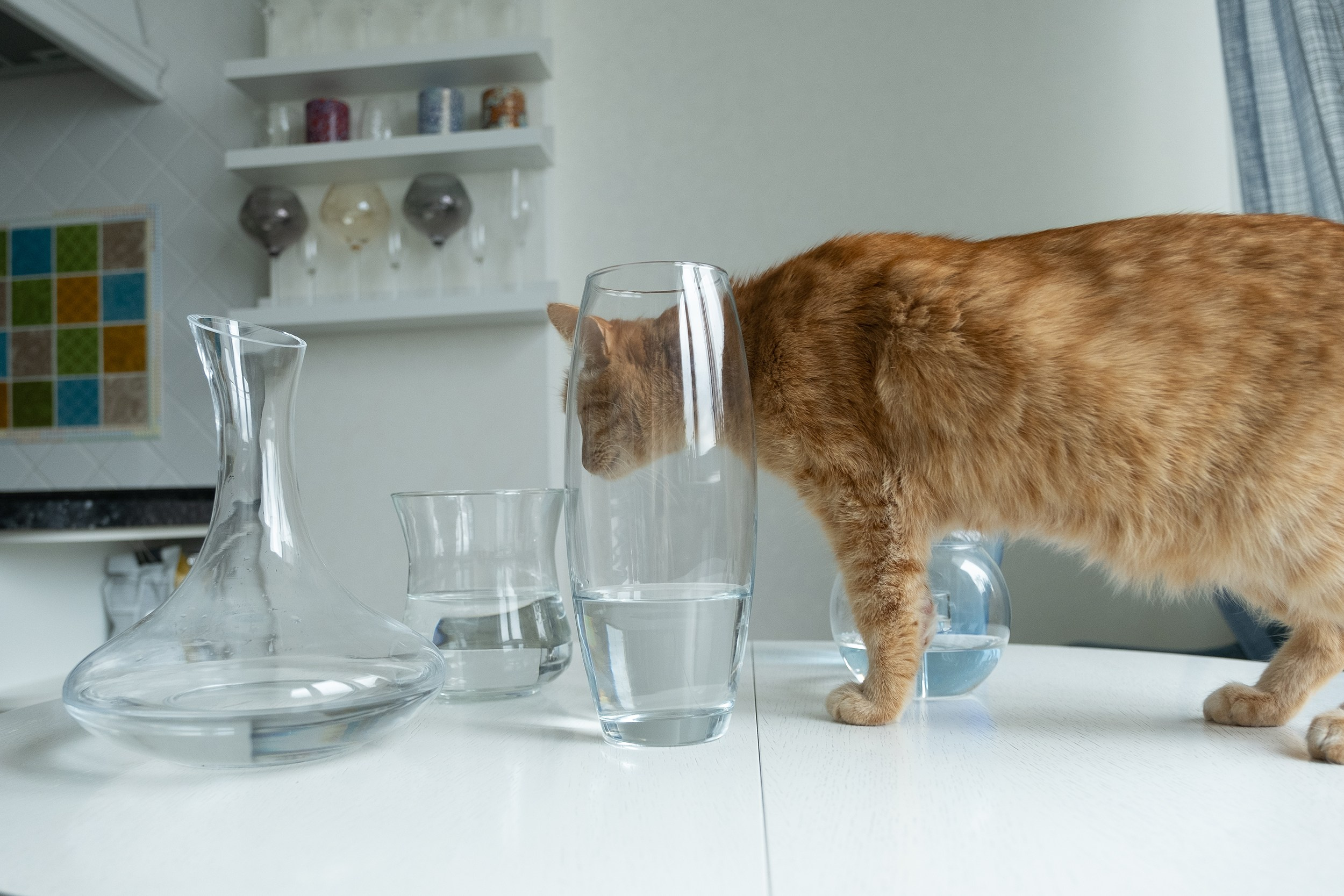 Наталья (съемка в квартире). Екатерина Мишина творческий фотограф в Самаре