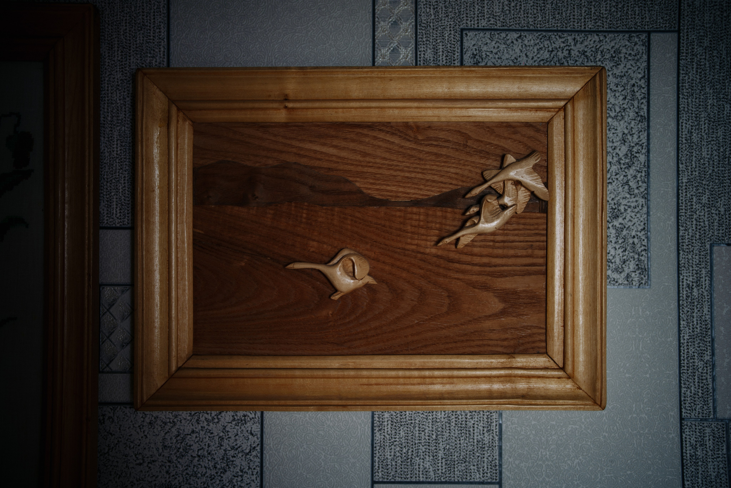 Сюжет № 5|Лев Владимирович Крашенинников