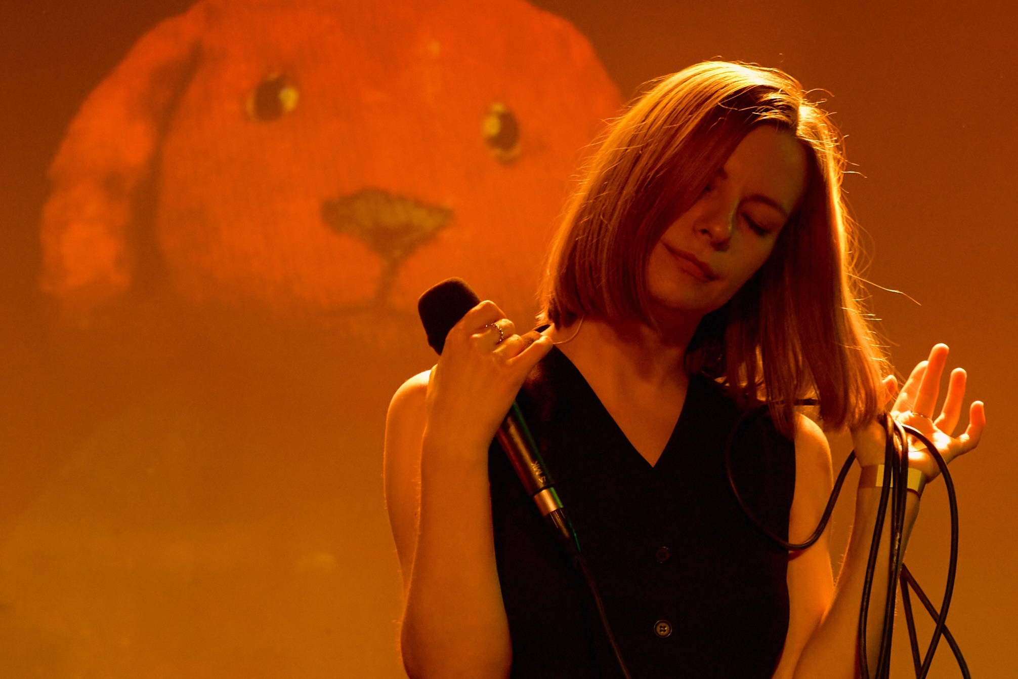 Порез на собаке. Фотограф Юлия Маринина