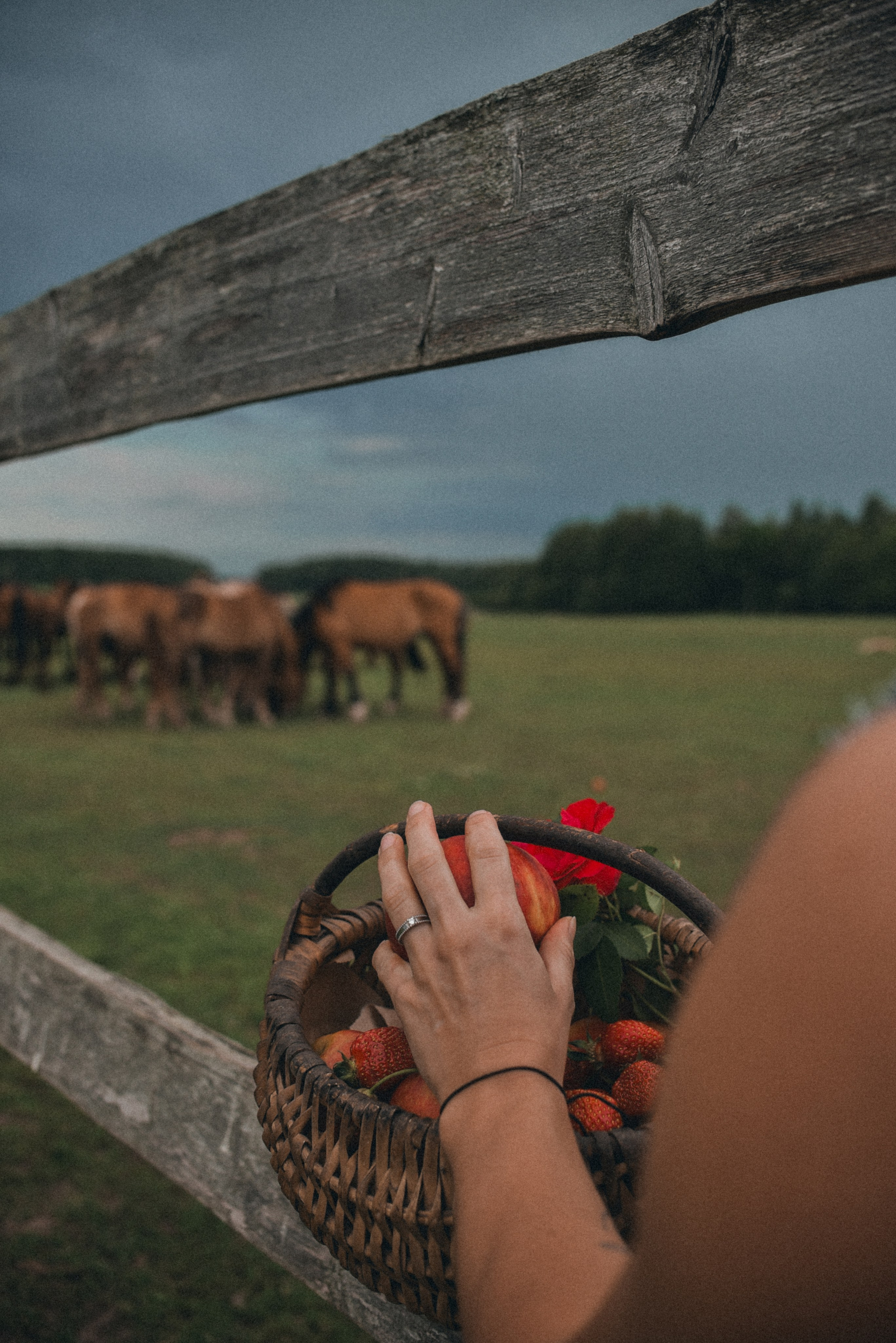 Надя. Семейный фотограф Milena feel it