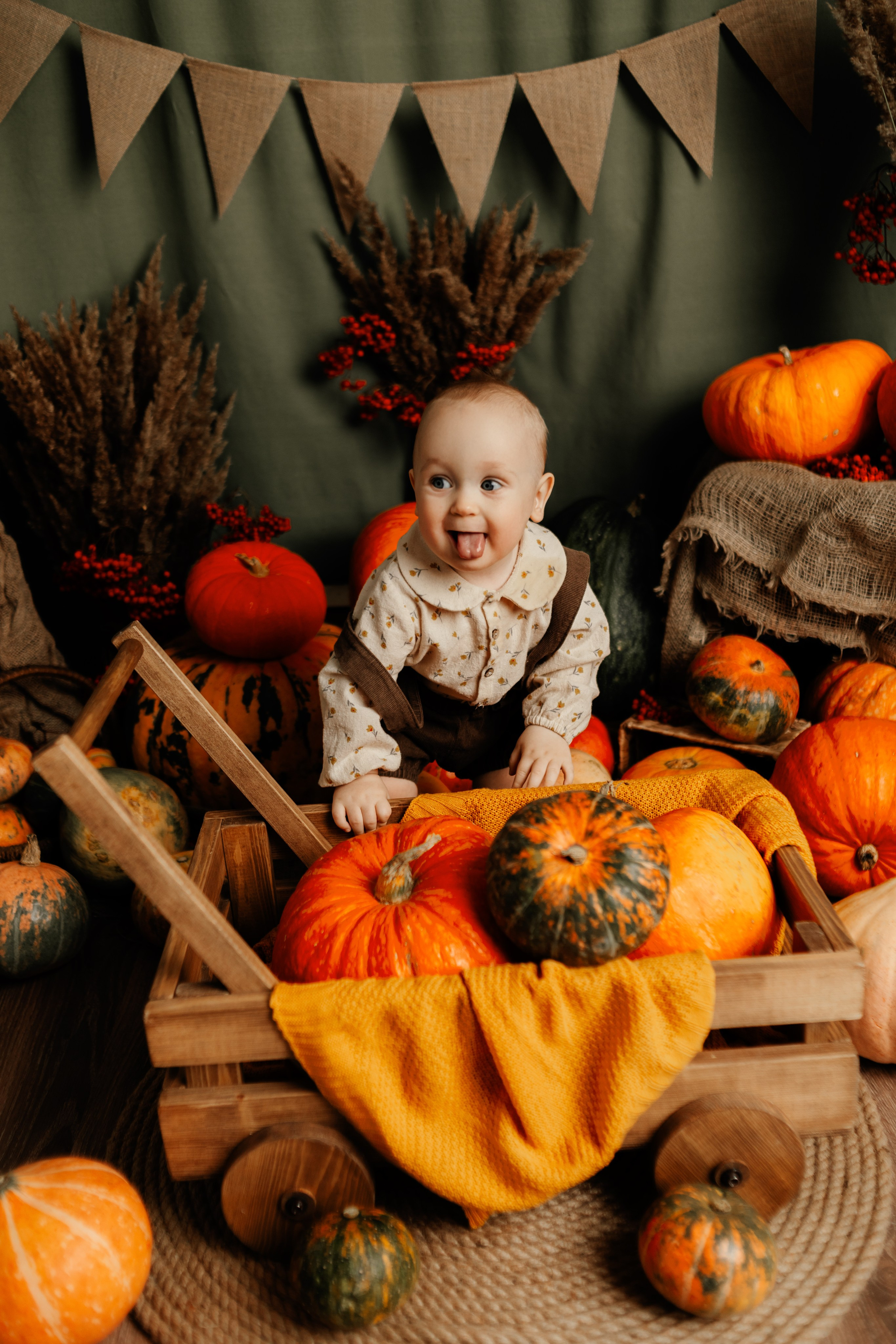 Фотопроекты. Фотограф новорождённых семейный фотограф Томск Елена Каплина