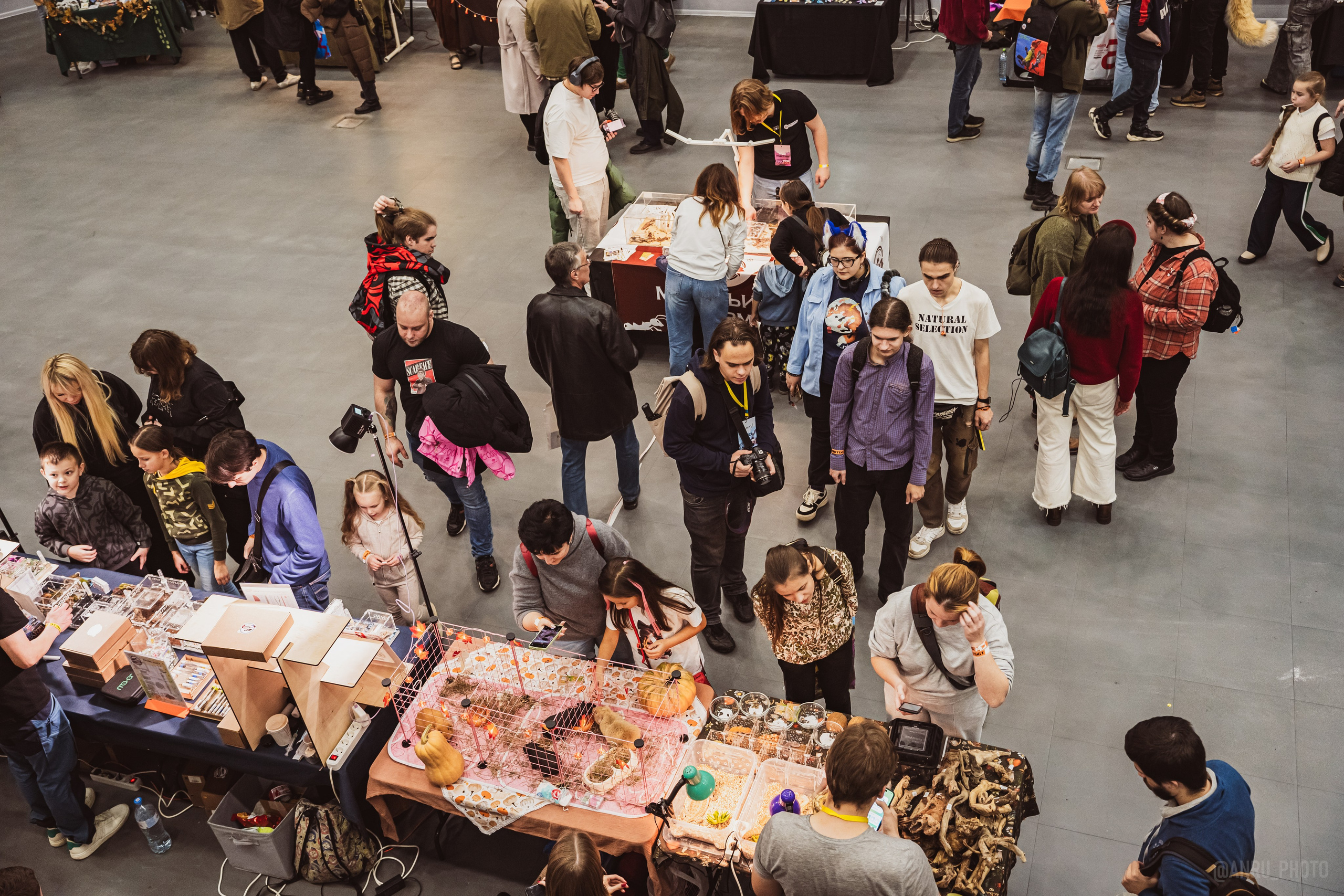 Fox Family fest. Репортажный фотограф Анастасия Рубцова