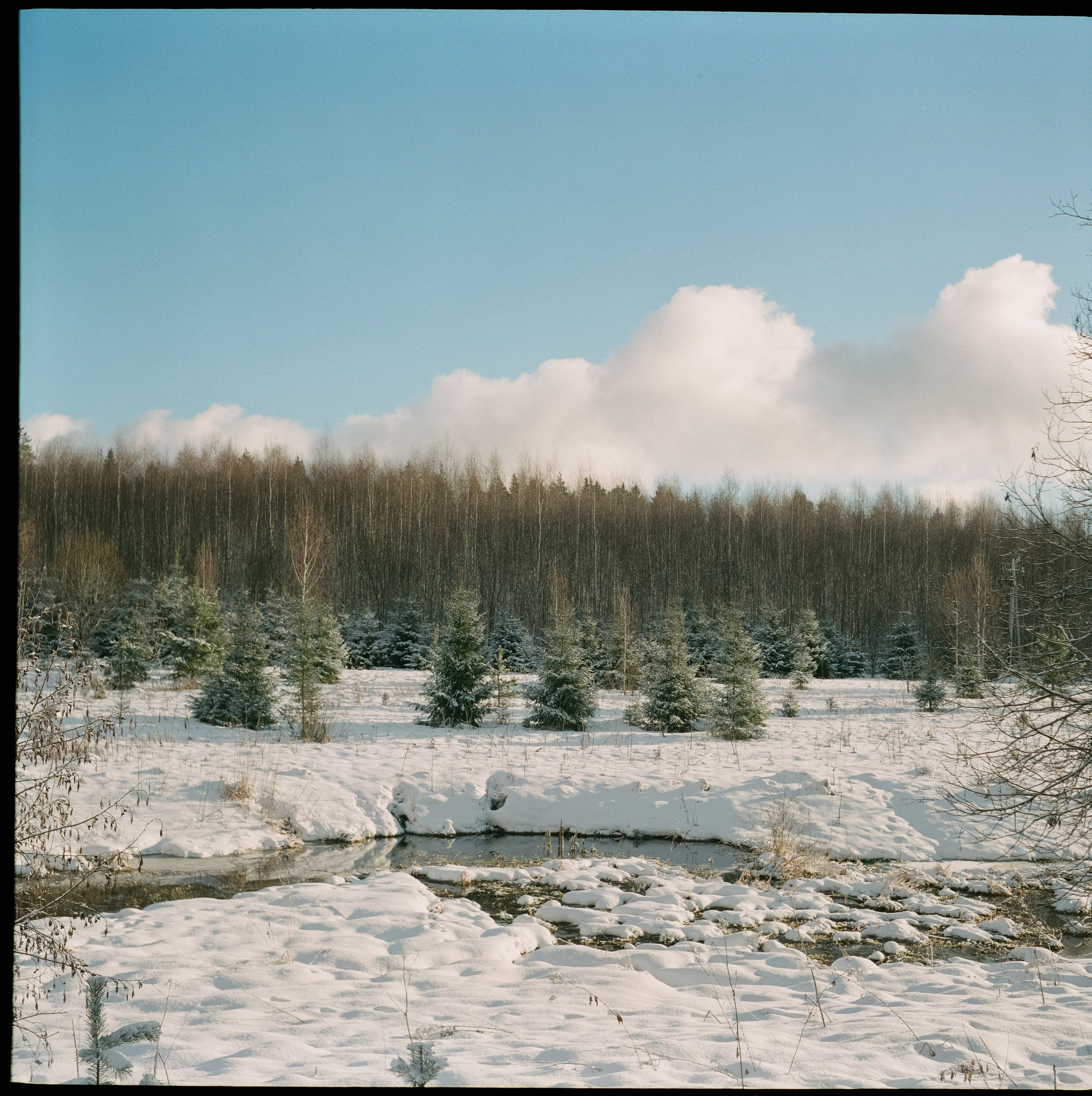 Fujicolor PRO 400H примеры фотографий