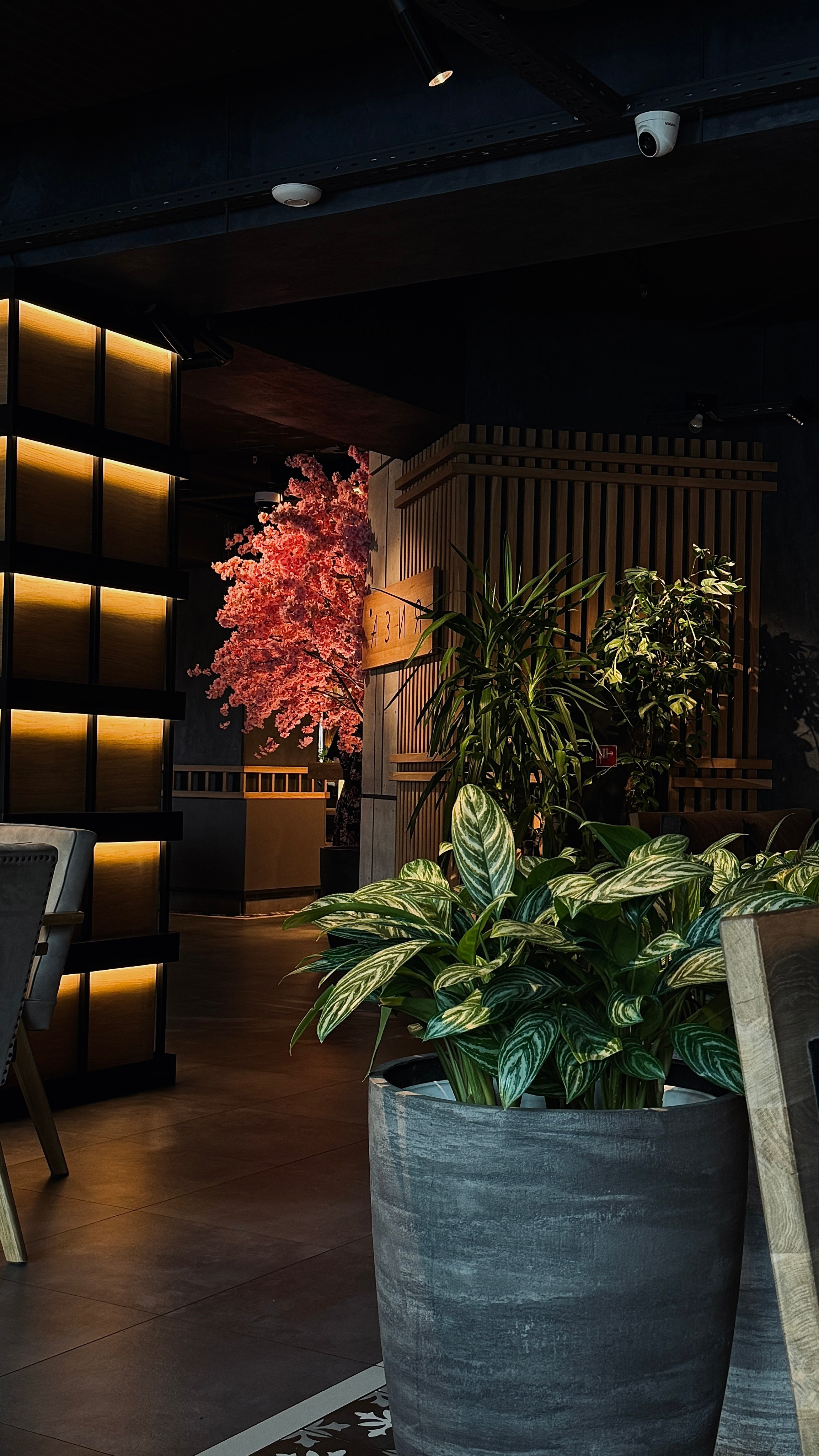 Интерьеры и экстерьеры. Content creator Saint-P