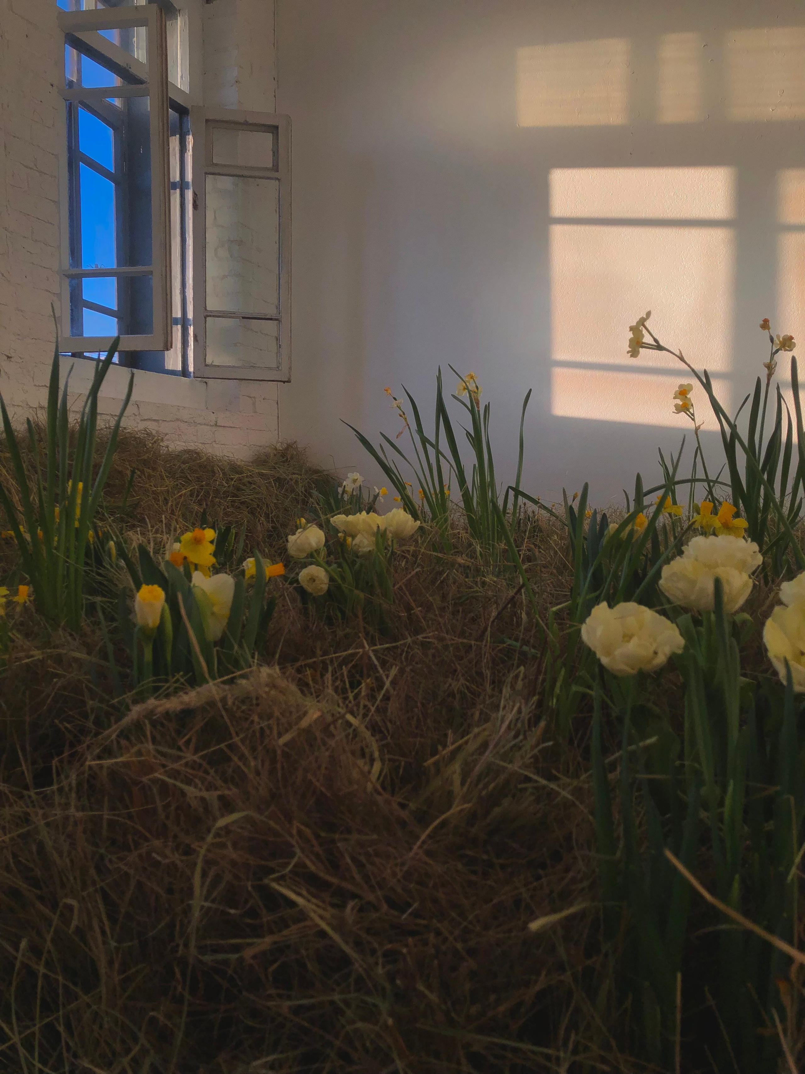 Фотостудия МОХ зал Свет. Фотограф Настя Лев