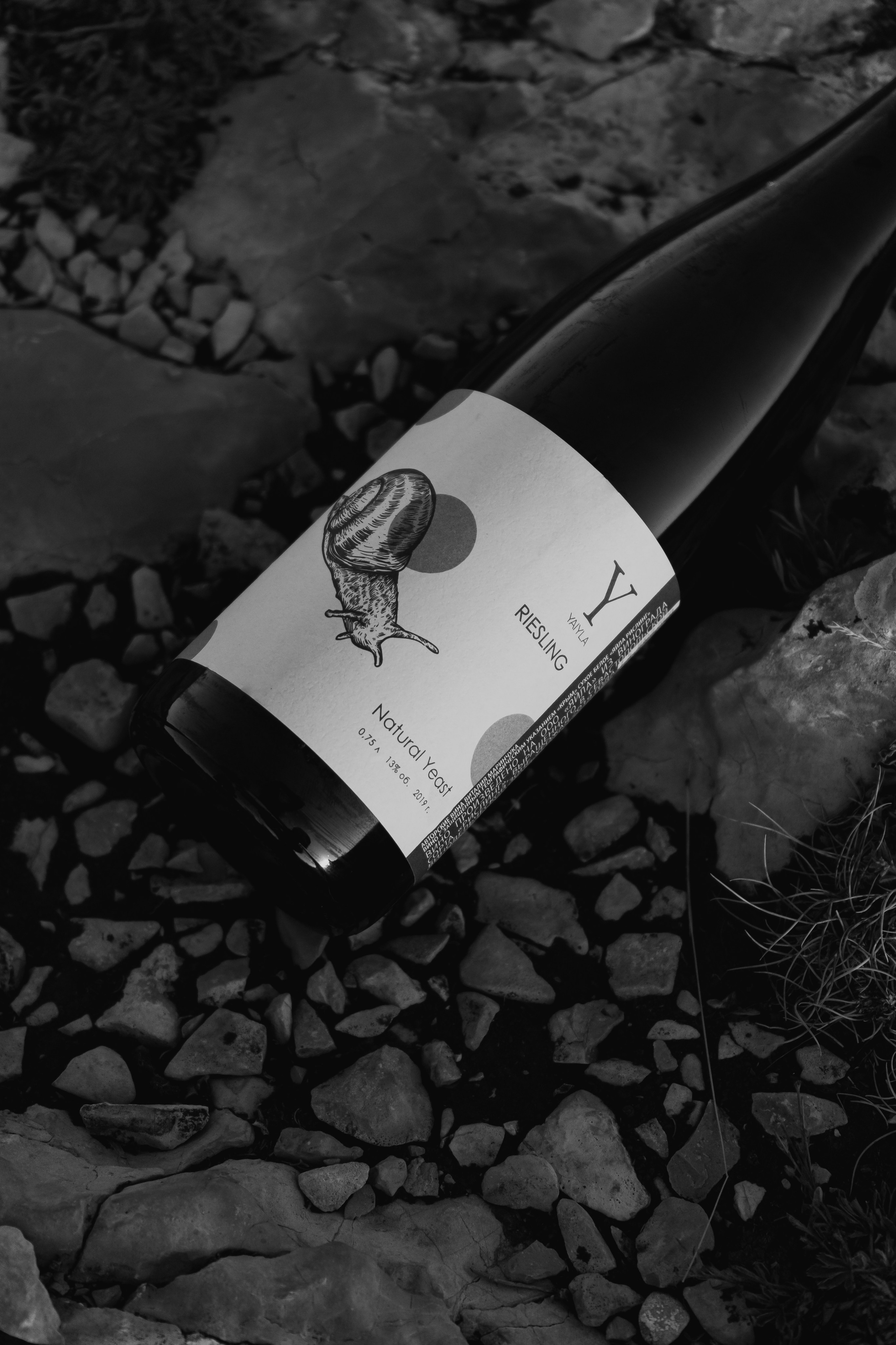 Ян Долматов — фотограф, видеограф и продюсер на Пхукете, Таиланд