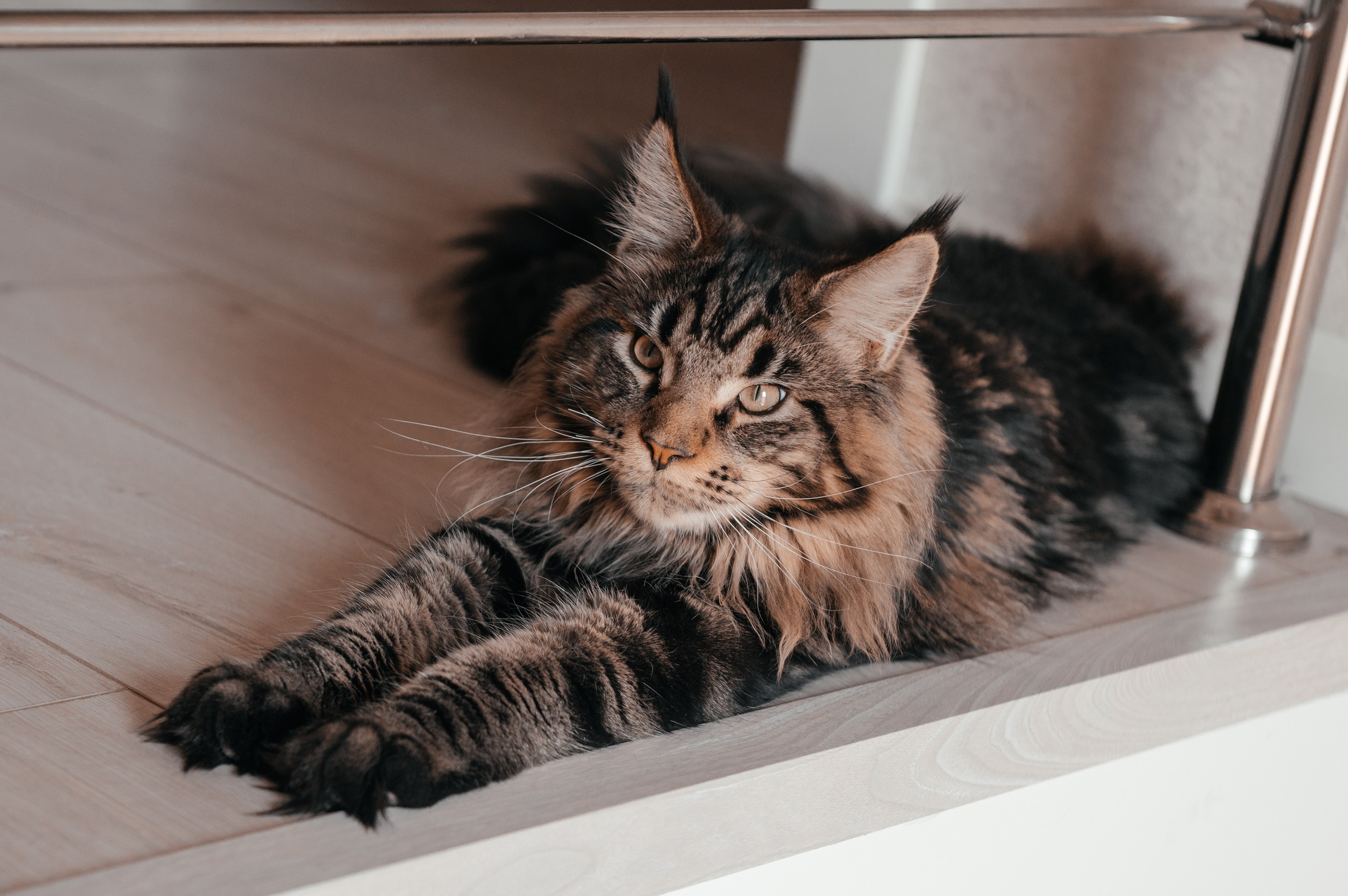 Анастасия и Данил. Свадебный и семейный фотограф в Волгограде Семисотнова Камилла